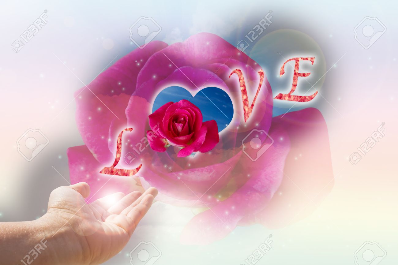 Hand With Text Love On Red Rose For Sweet Love Valentine