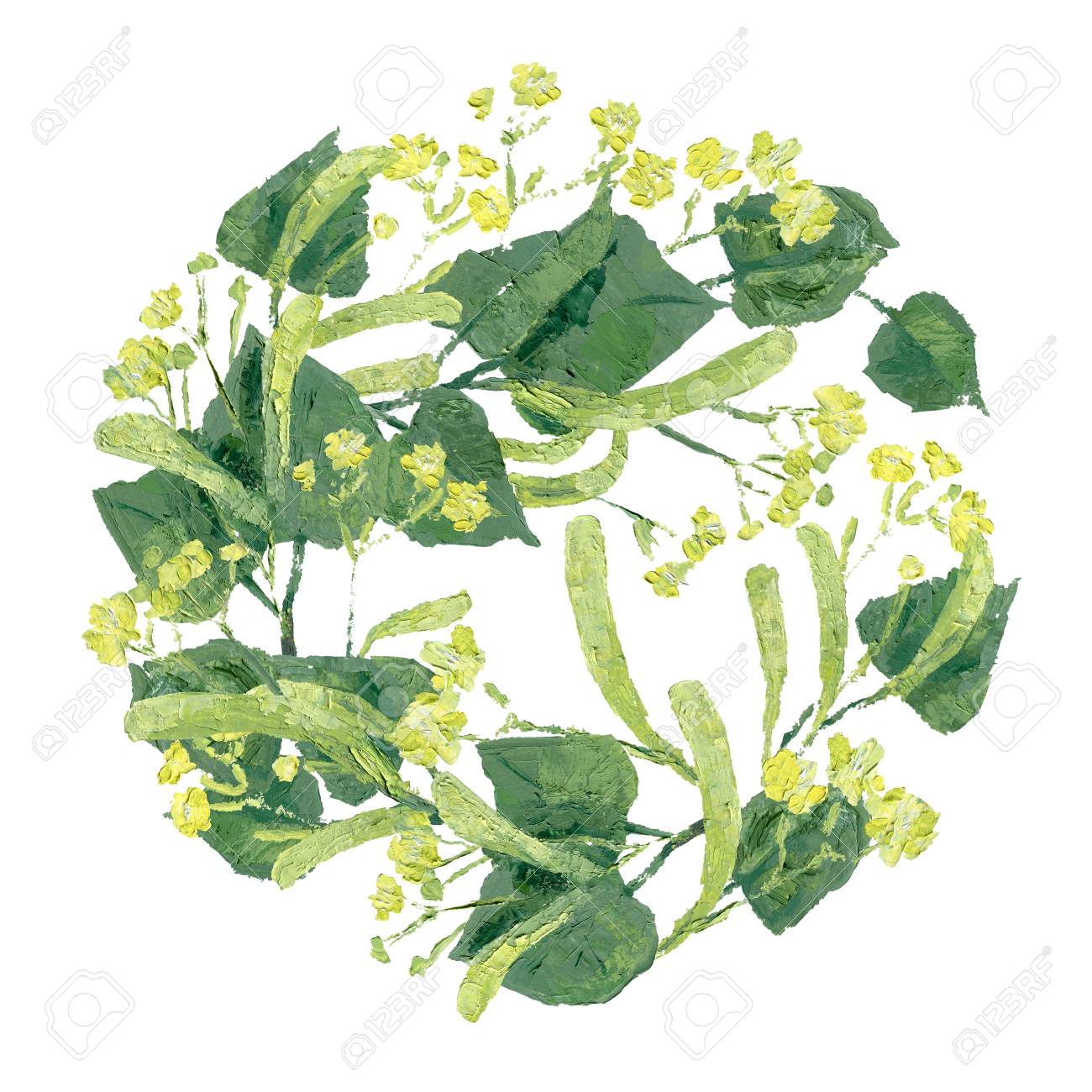 リンデンの葉と枝し 花のイラスト 孤立したラウンド構成 の写真素材 画像素材 Image 8427 リンデンの葉と枝し 花のイラスト 孤立したラウンド構成 の写真素材 画像素材 Image 8427