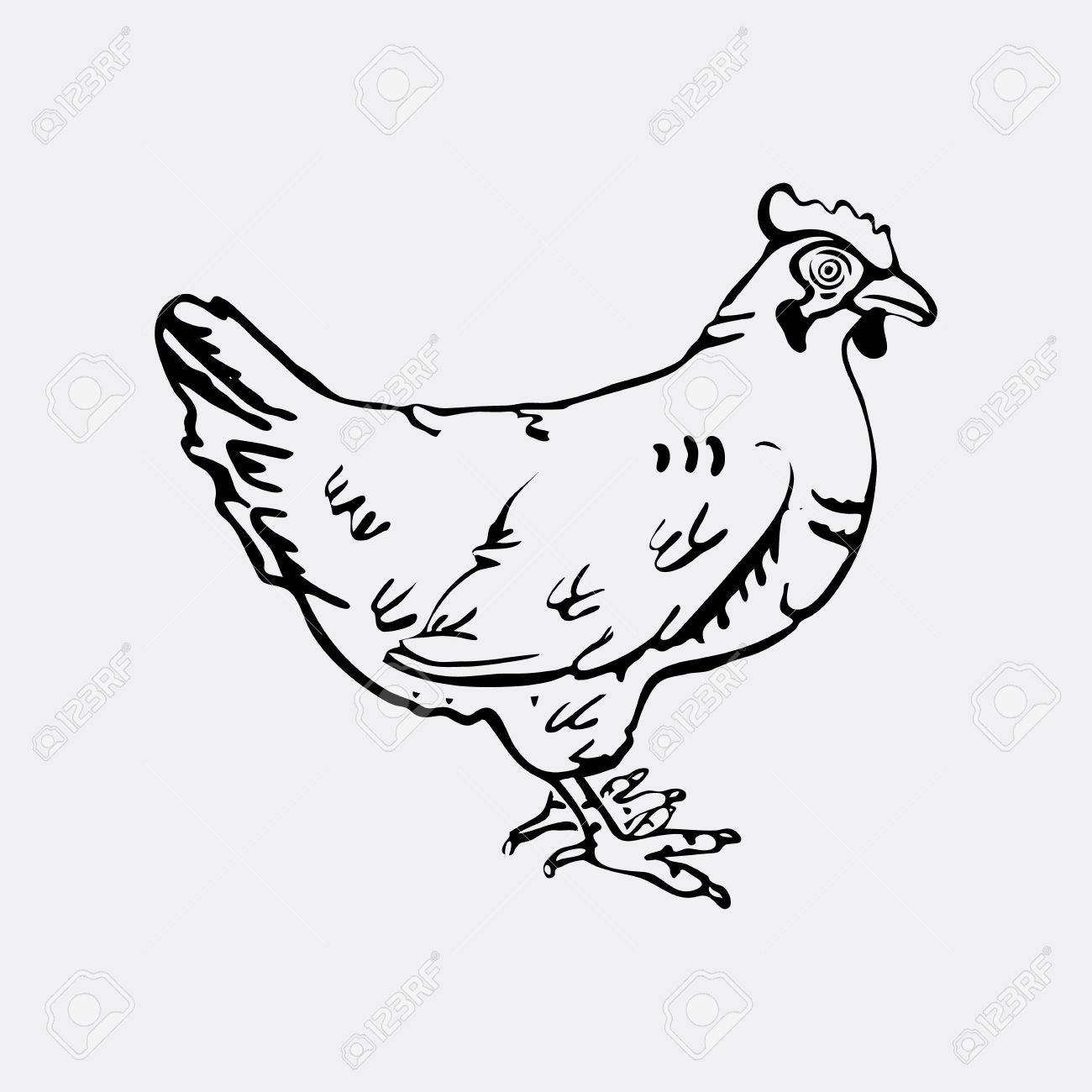 Handgezeichnete Bleistiftgrafiken Henne Gravur Schablonenstil Schwarz Weiss Logo Zeichen Emblem Symbol Stempel Dichtung Einfache Darstellung Skizze Lizenzfrei Nutzbare Vektorgrafiken Clip Arts Illustrationen Image 68319474