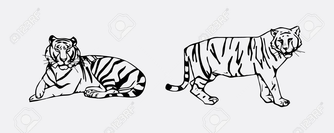 虎のエンブレム セット 黒と白のロゴ 記号 紋章 記号 スタンプ シールです シンプルなイラスト スケッチ のイラスト素材 ベクタ Image