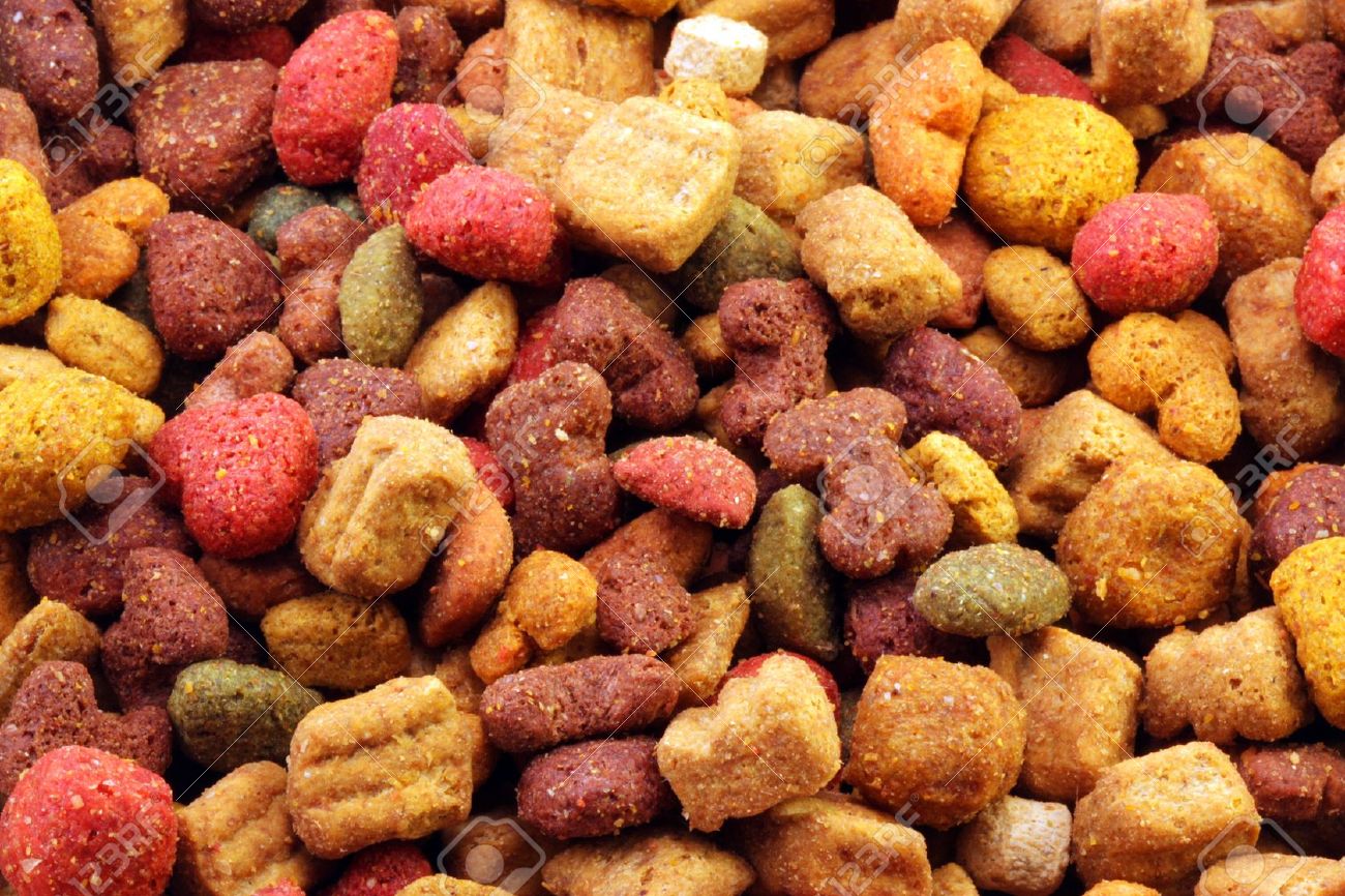 pet kibble