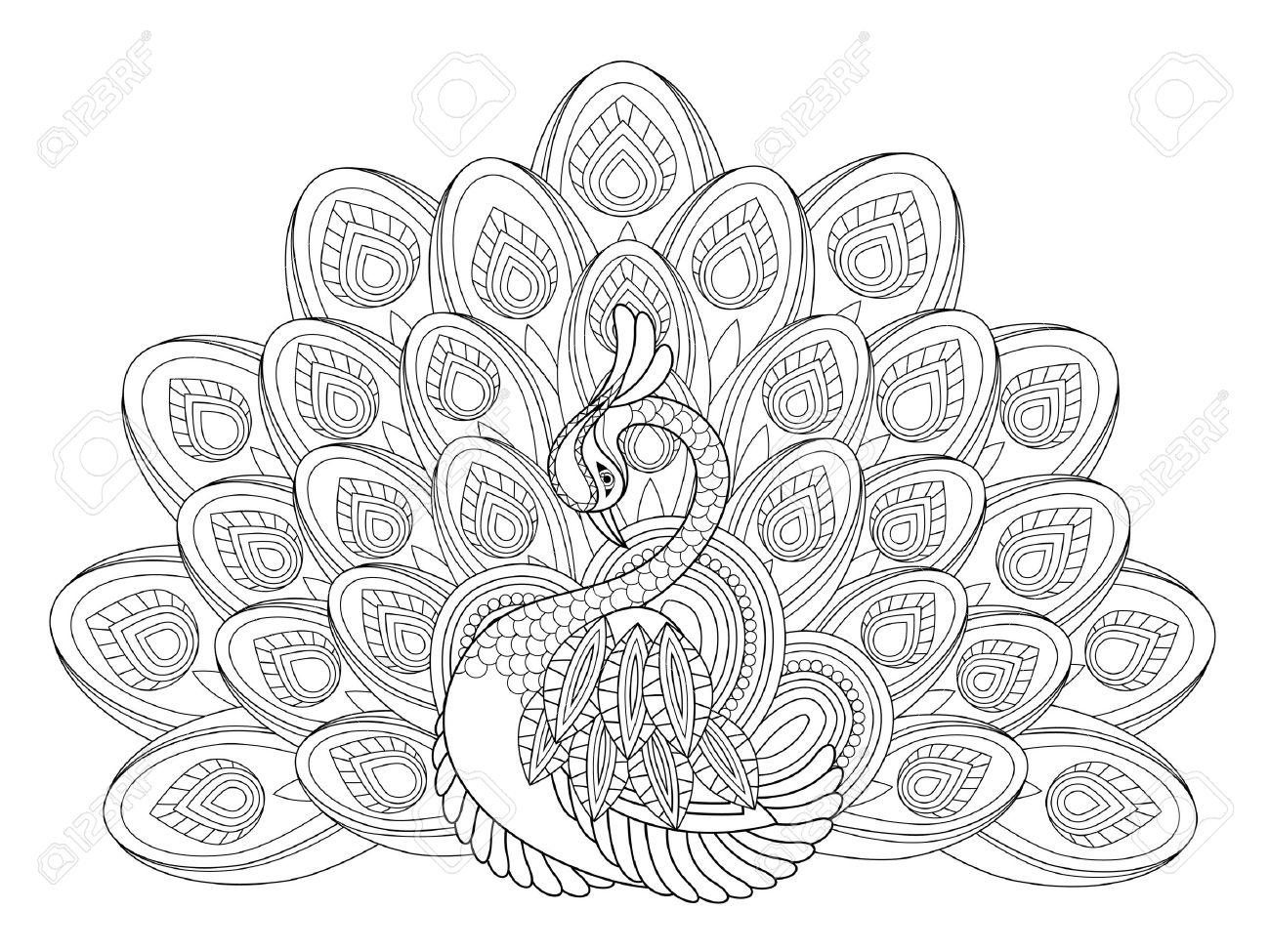 élégante Coloriage Paon Dans Un Style Exquis Clip Art Libres De élégante Coloriage paon dans un style exquis Banque d images
