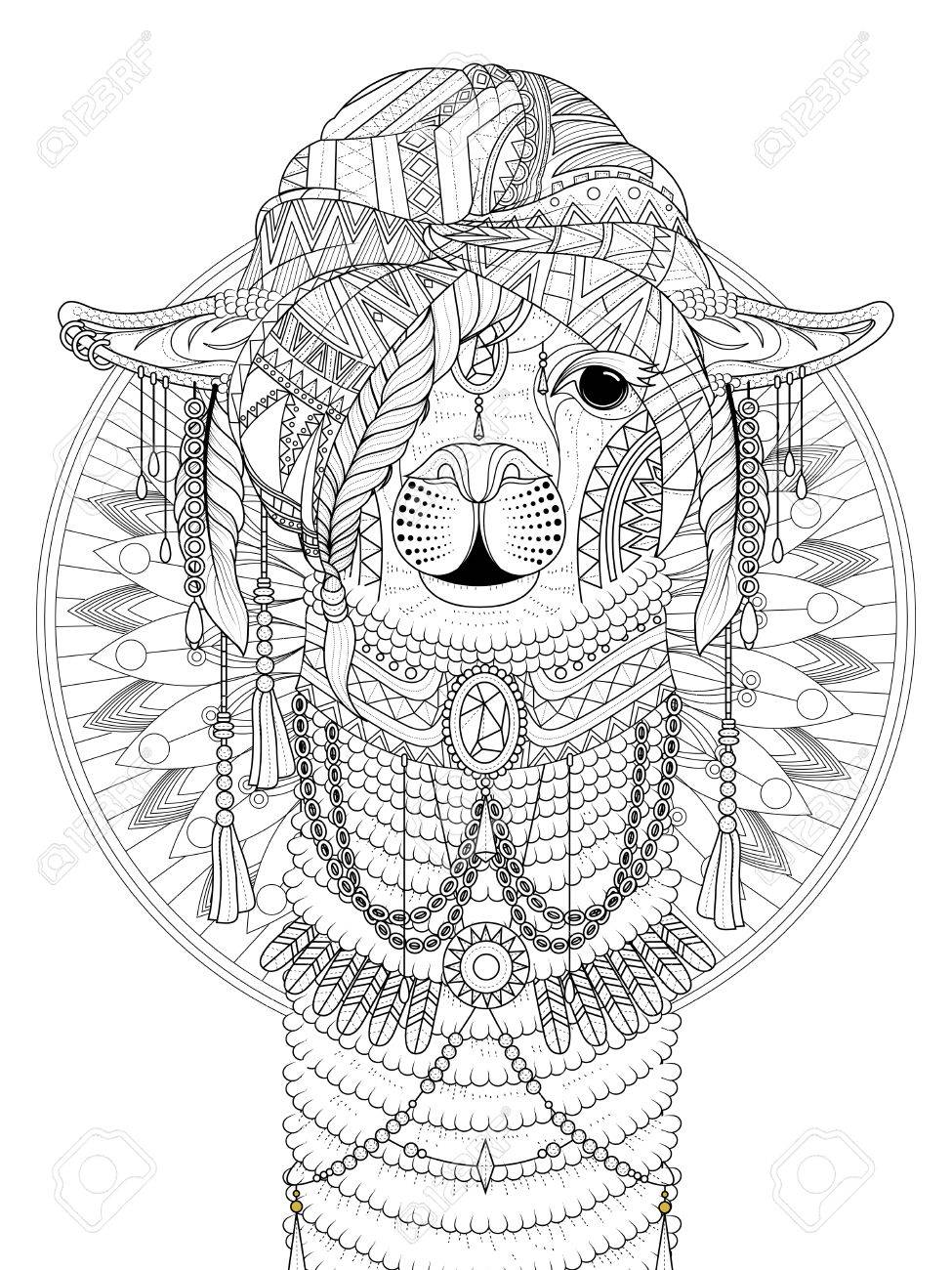 Adult Coloring Page Alpaca With Splendid Headwear Royalty Free Cliparts Vectors And Stock Illustration Image 56914087