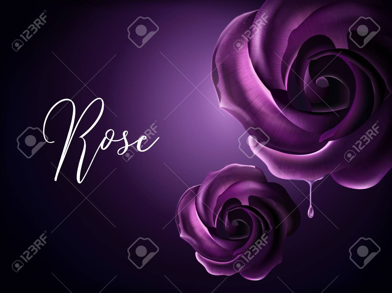 Elementos De Rosas Roxas Elementos Florais Decorativos Em Fundo Roxo Na Ilustracao 3d Ilustraciones Vectoriales Clip Art Vectorizado Libre De Derechos Image 94128928