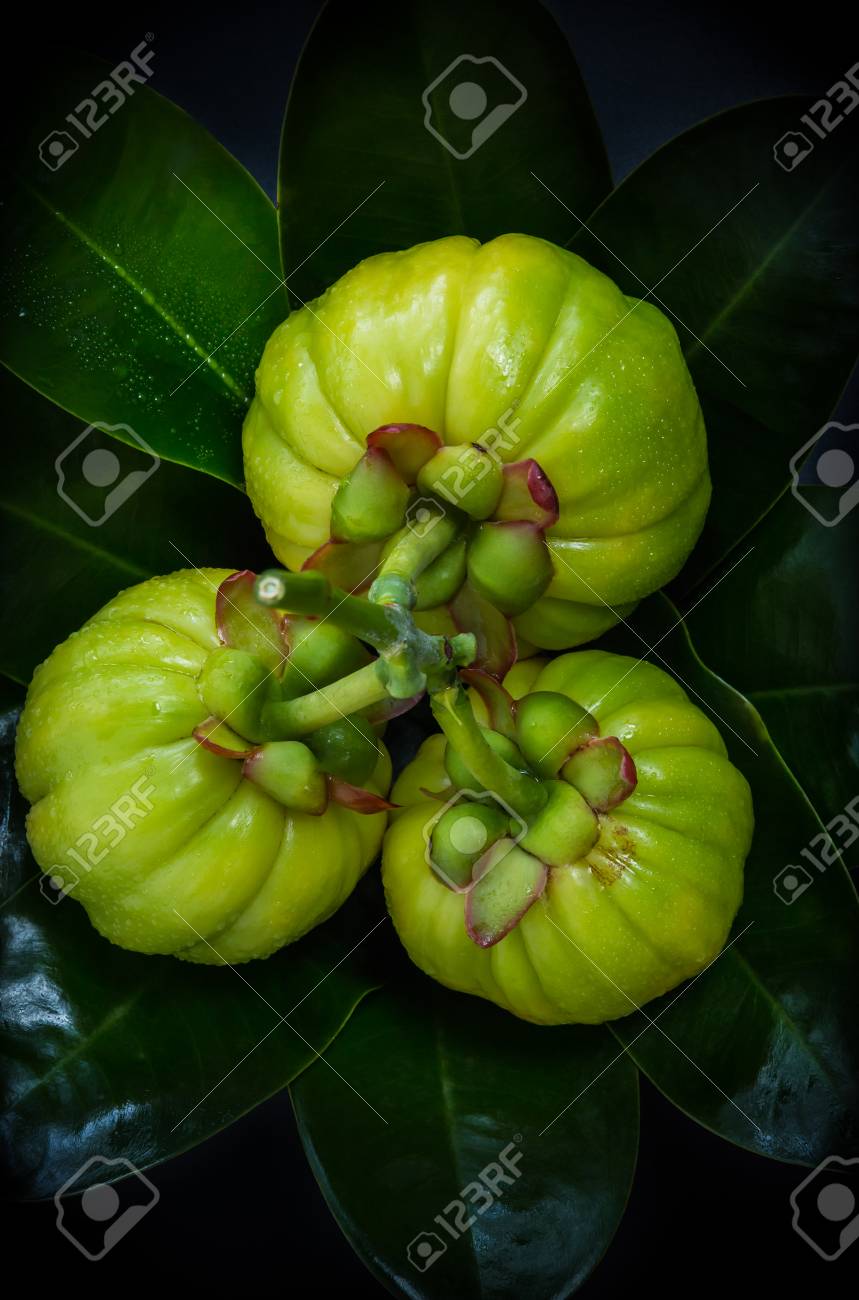 foglia di garcinia cambogia