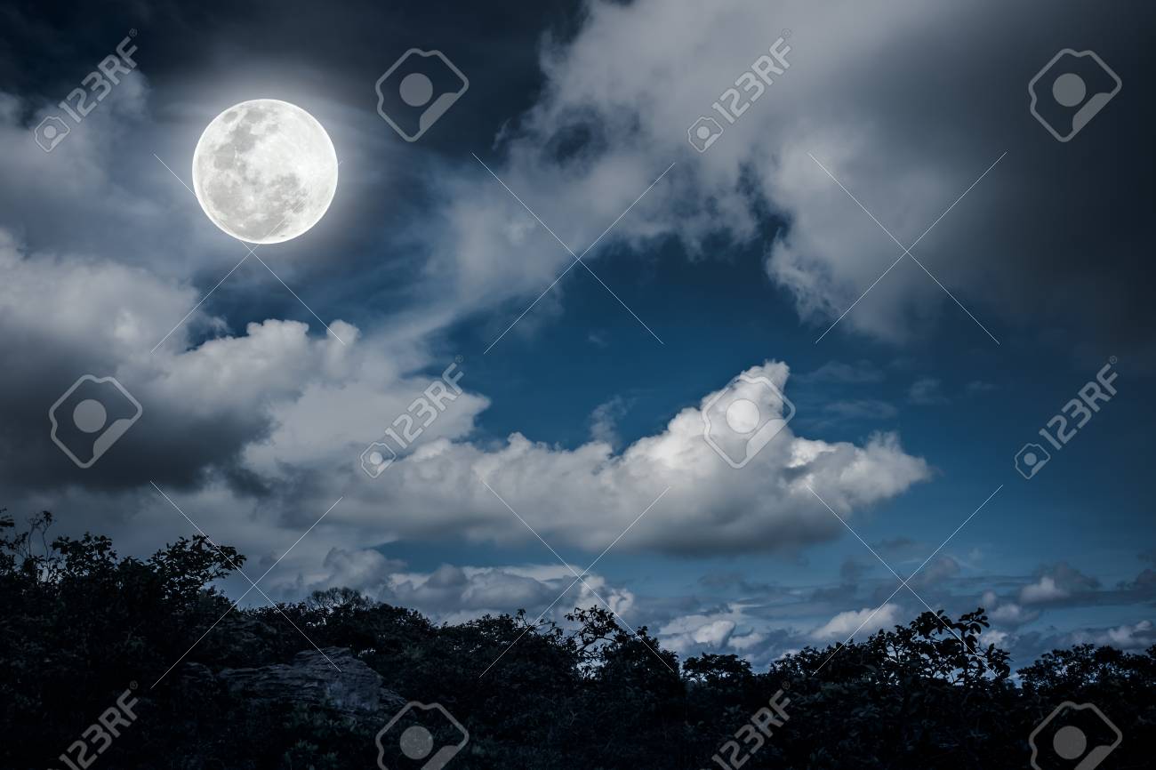 Silhouettes Of Tree And Nighttime Sky With Clouds Bright Full