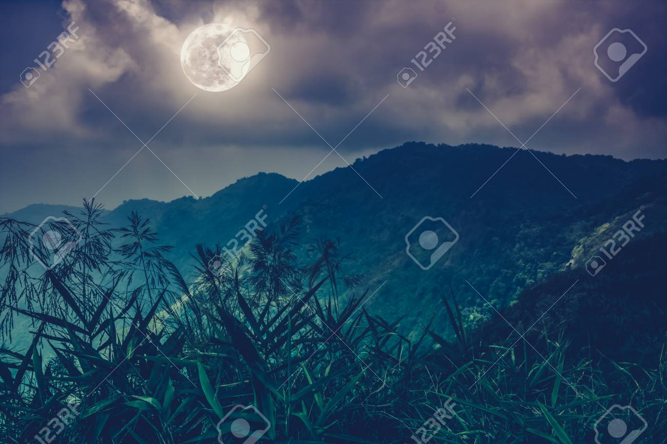mountain peaks silhouettes of trees with night sky and beautiful tranquil nature