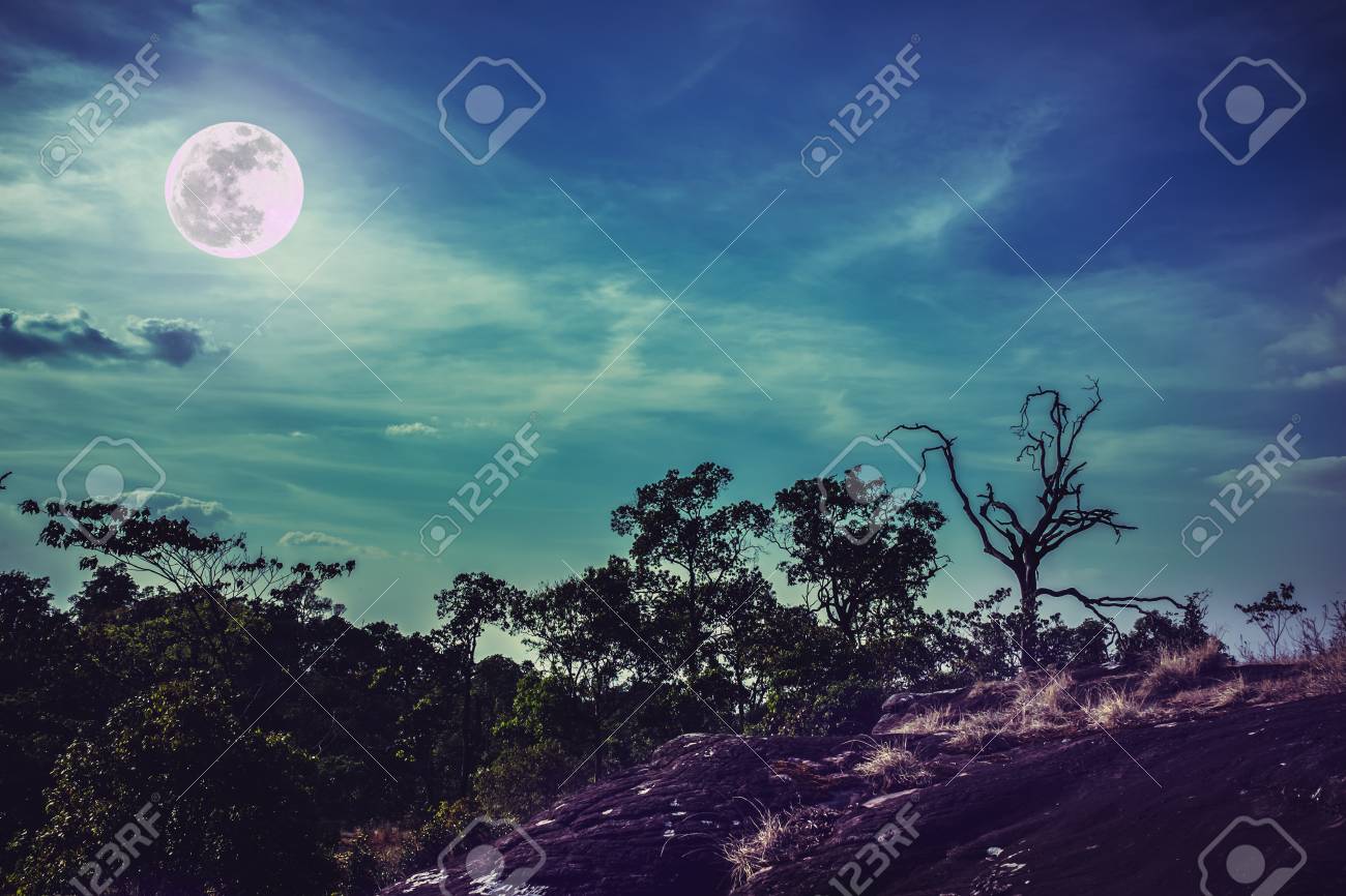 serenity nature