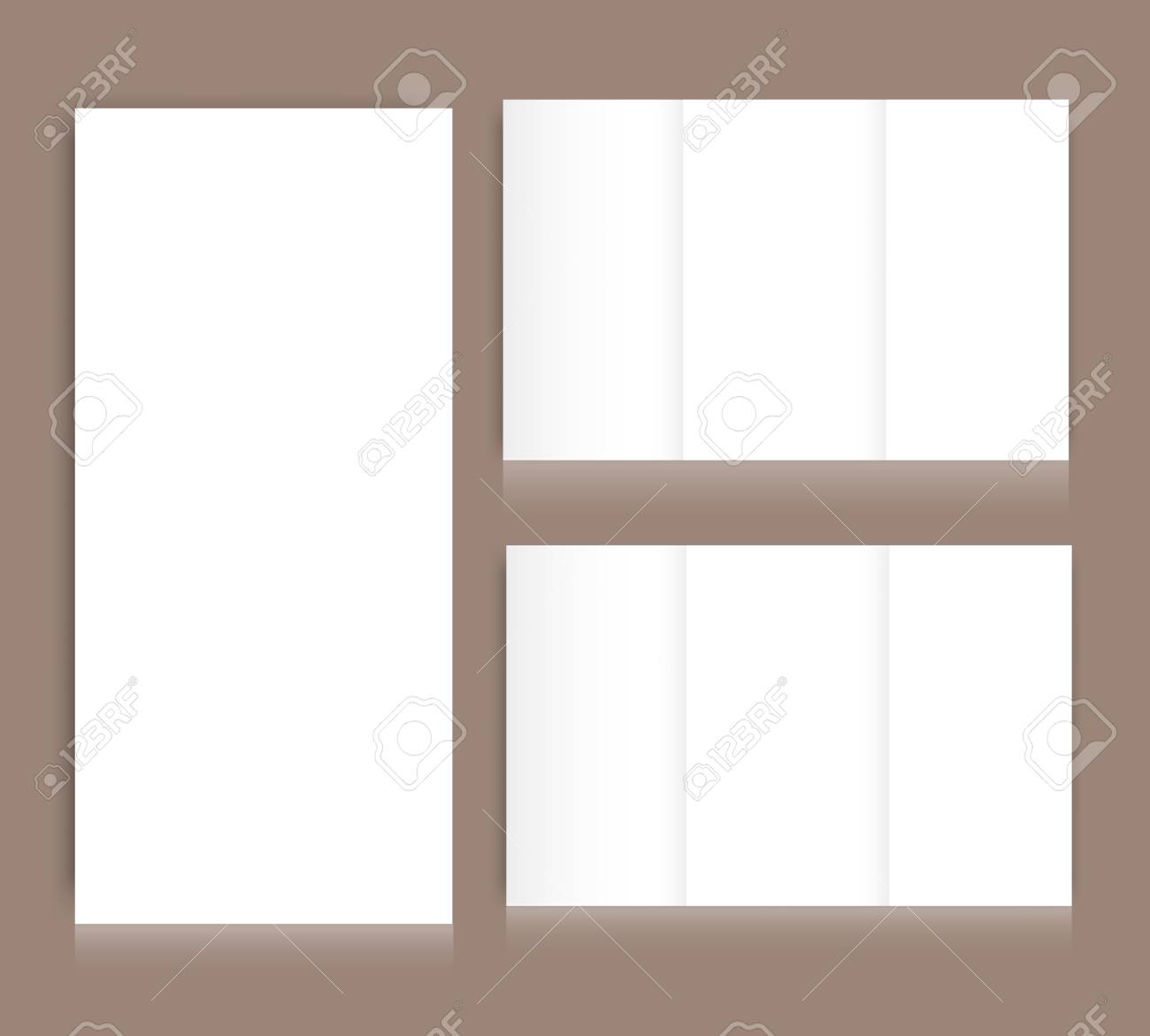 blank tri fold brochure mock up portrait cover isolated royalty