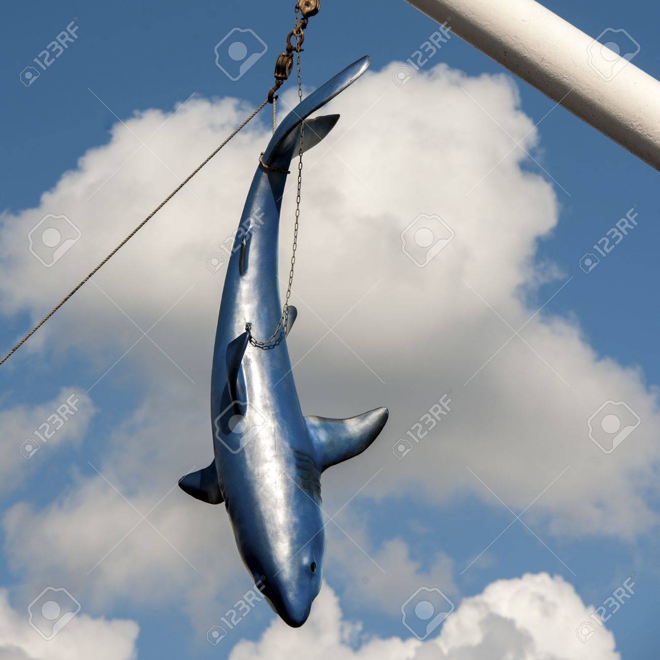 shark pole
