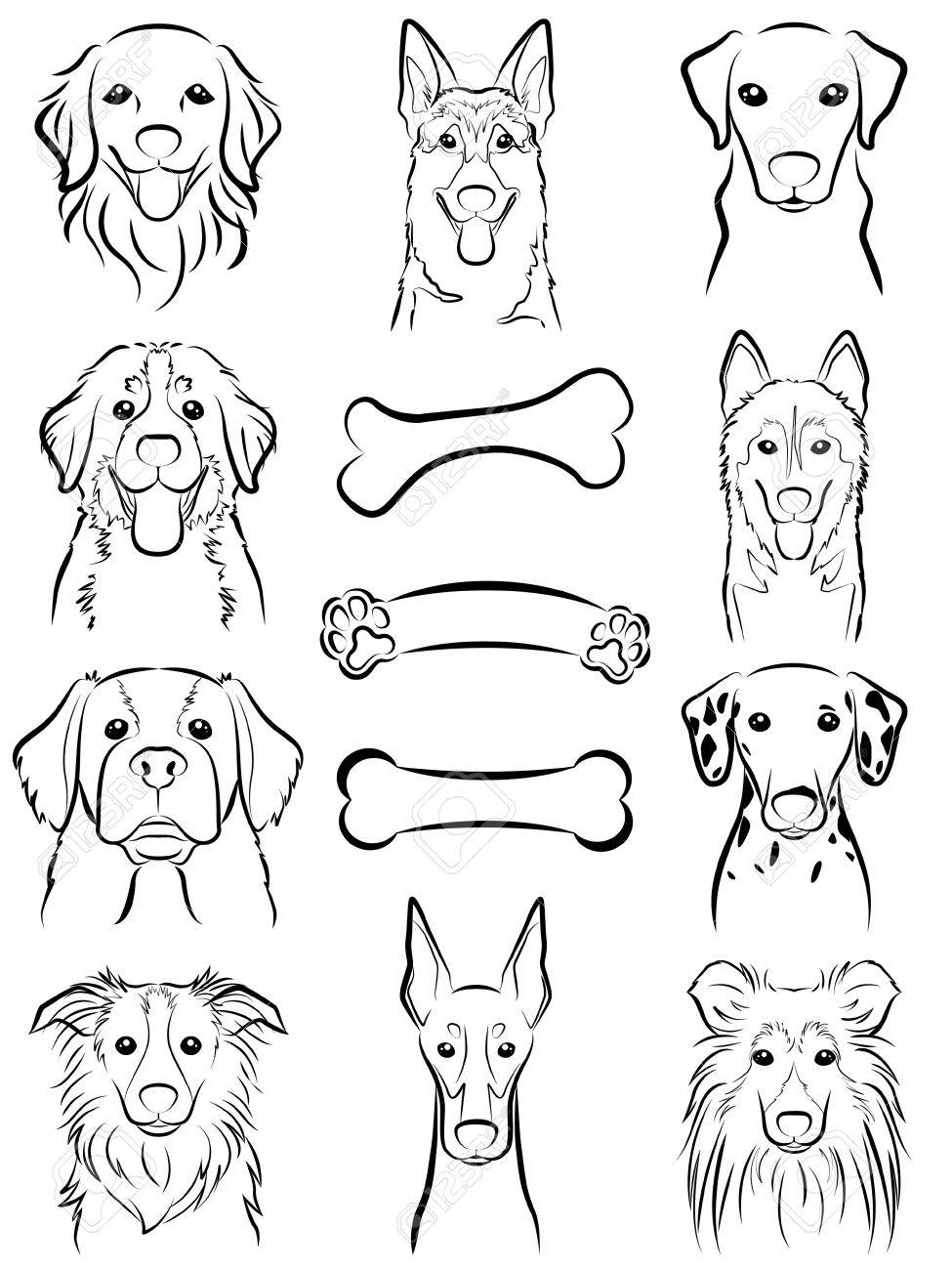 犬 図面の線 のイラスト素材 ベクタ Image 犬 図面の線 のイラスト素材 ベクタ Image