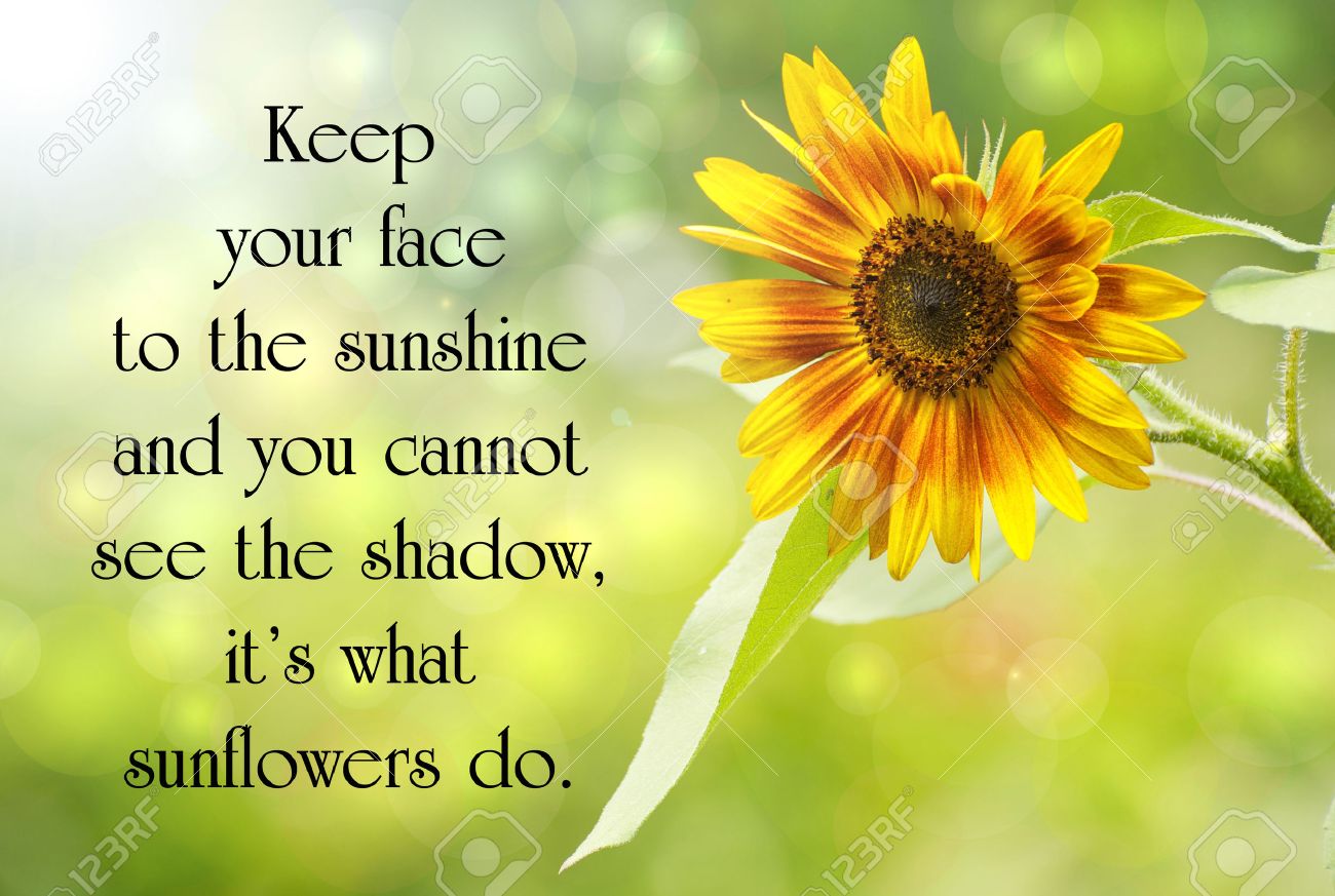 free quotes on life inspirational quote on life with a beautiful sunflower in the