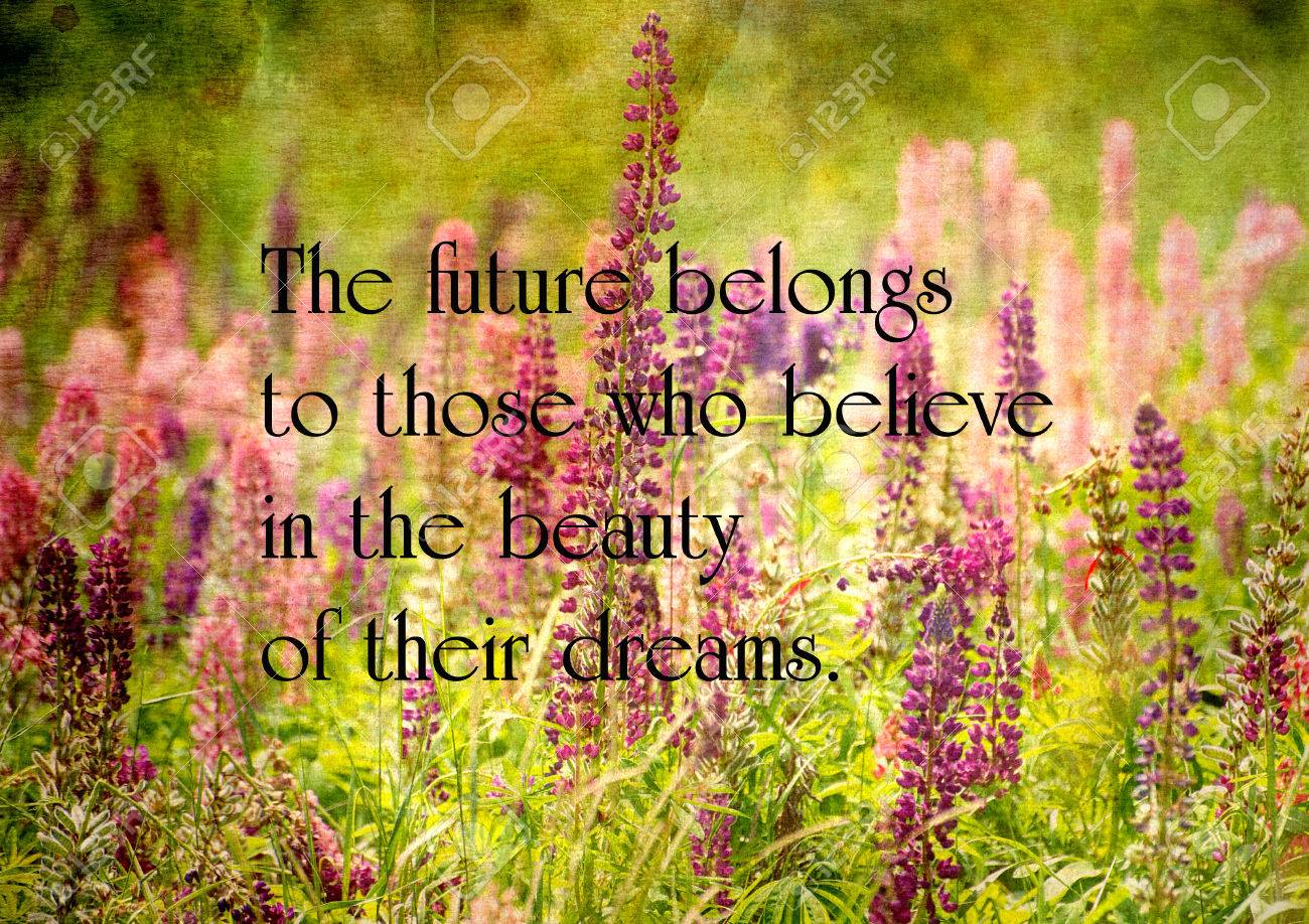 Inspirational quote on life on a grunge textured image of a field of beautiful lupine flowers
