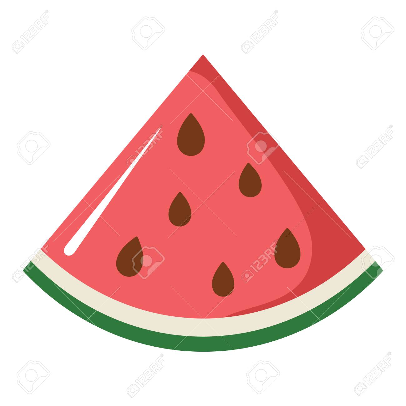 watermelon design juicy fresh fruit icon template raw watermelon