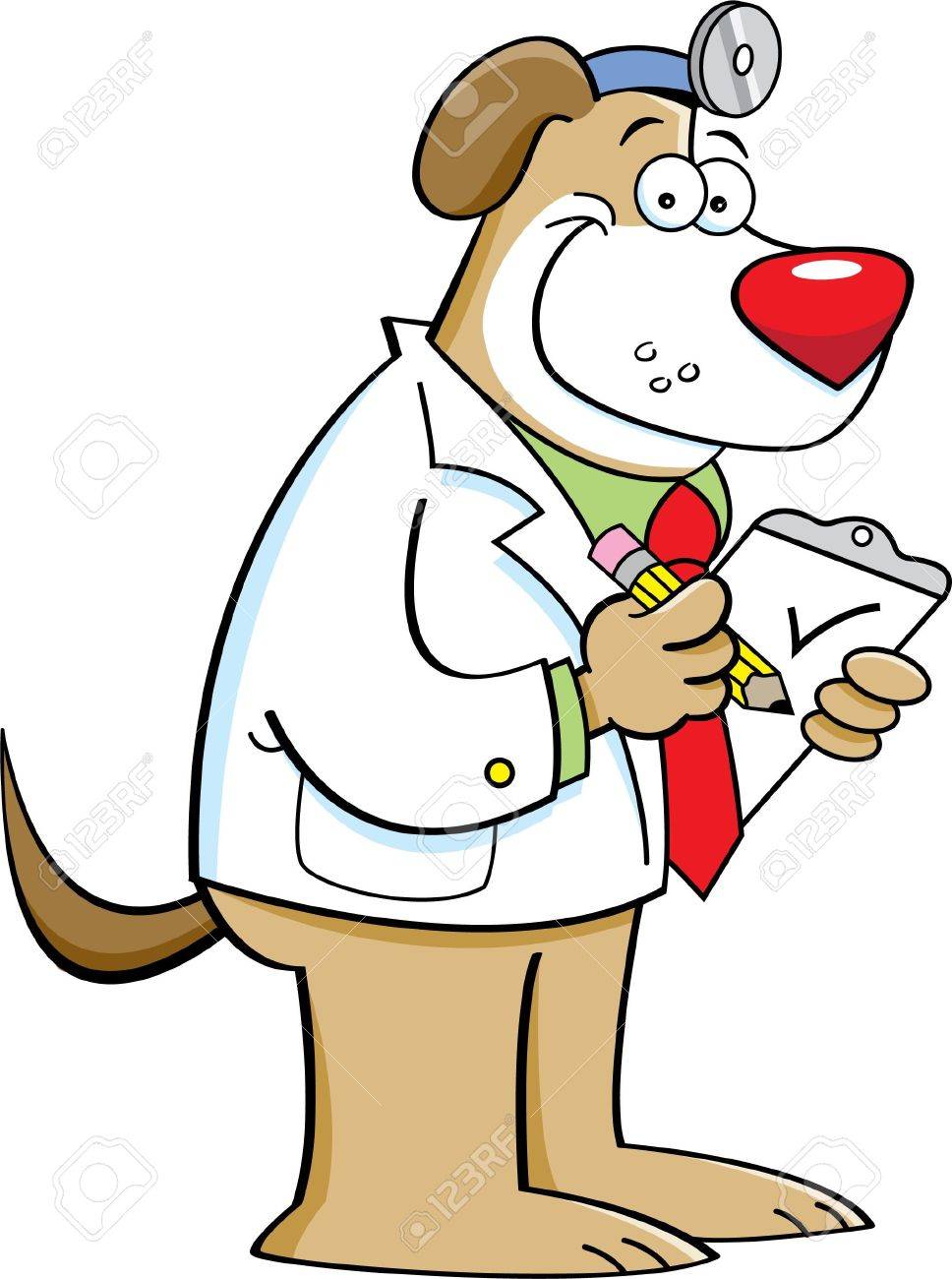 a dog doctor