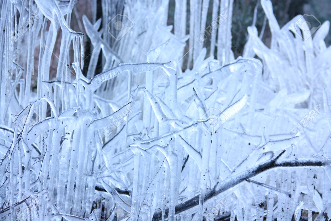 道路側の木の飛沫を溶かす水 液晶ディスプレイを示すために夜に凍結し 日中は 道路側に の写真素材 画像素材 Image