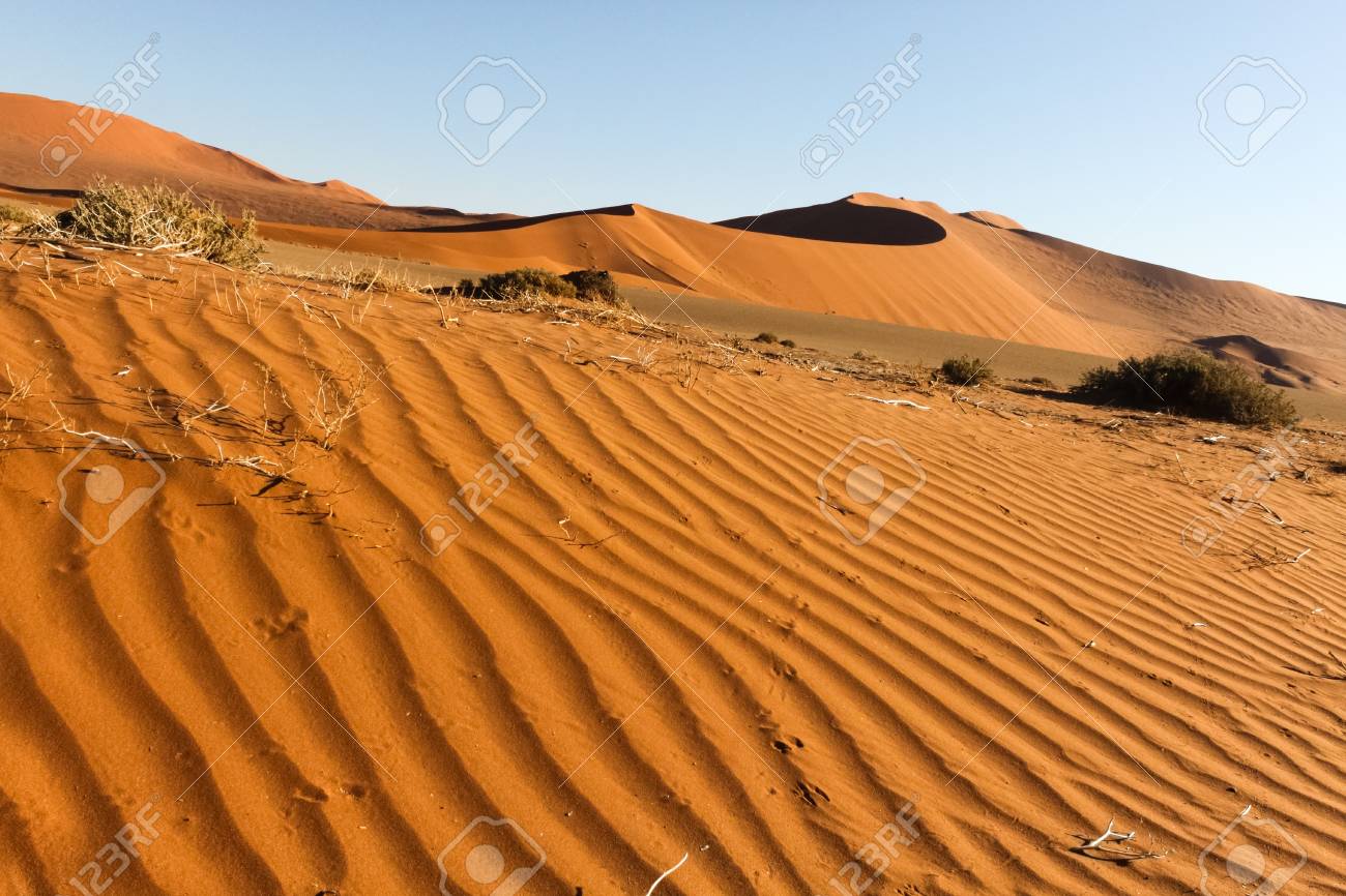 ナミブ砂漠のリップル マークの写真素材・画像素材 Image 28061652