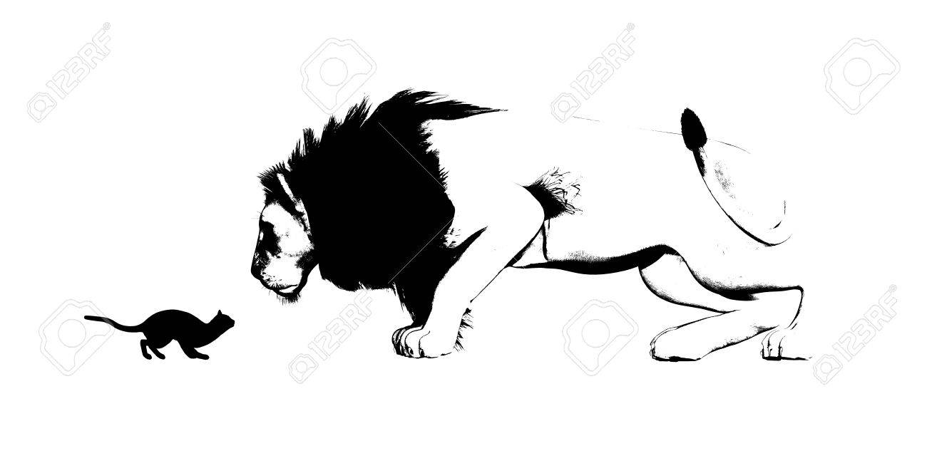 Miroir De Chat Et Lion En Tant Que Concept Adversite Banque D Images Et Photos Libres De Droits Image Miroir De Chat Et Lion En Tant Que Concept Adversite Banque D Images Et Photos Libres De Droits Image