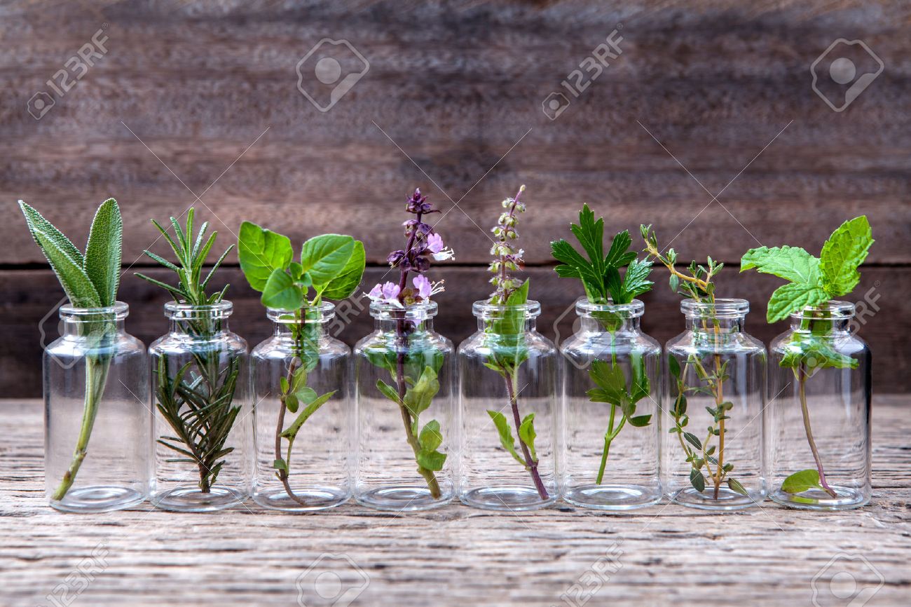 Bottle of essential oil with herbs holy basil flower, basil flower,rosemary,oregano, sage,parsley ,thyme and mint set up on old wooden background . - 51663211 Bottle of essential oil with herbs holy basil flower, basil flower,rosemary,oregano, sage,parsley ,thyme and mint set up on old wooden background . - 51663211