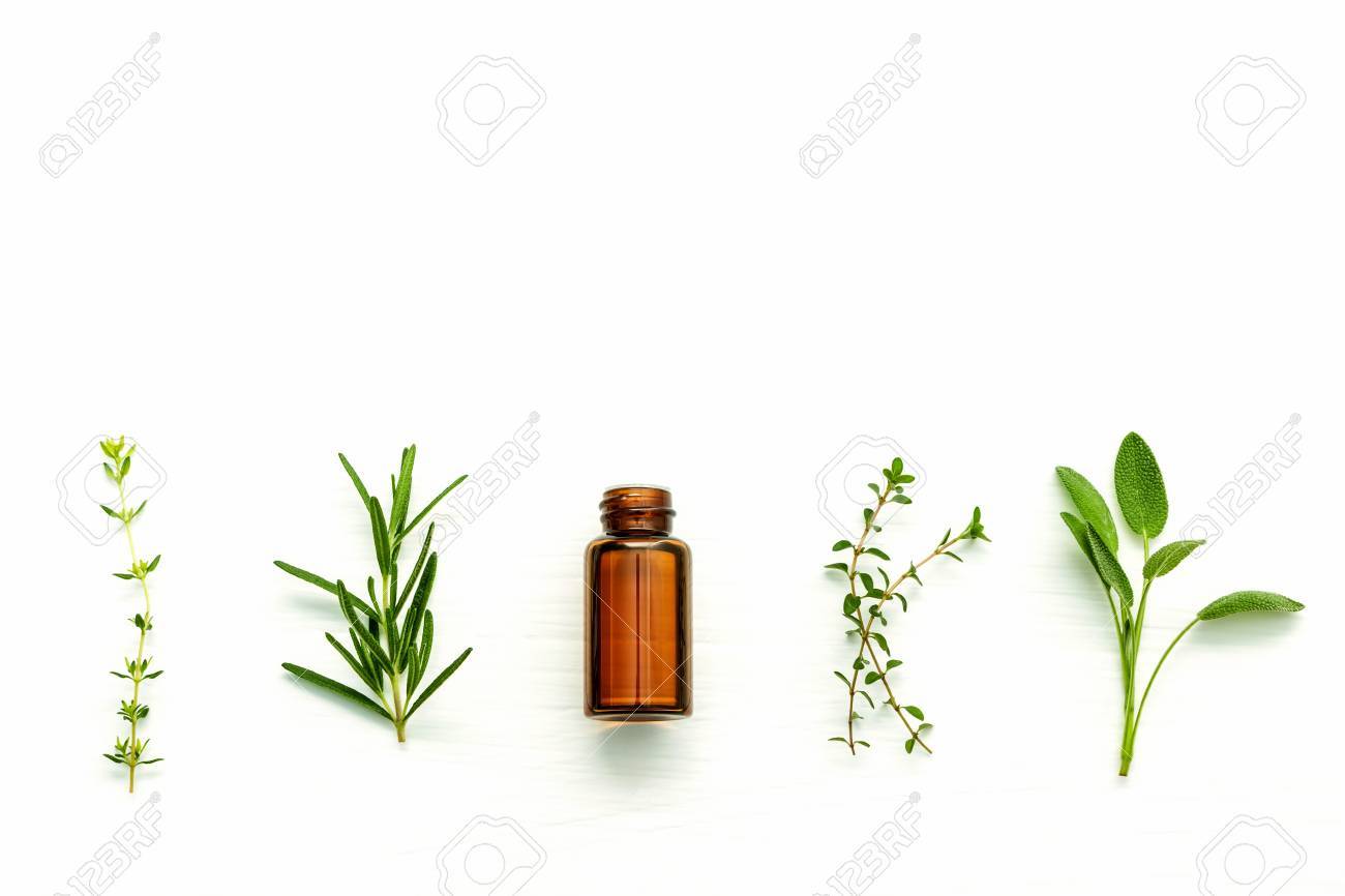 Bottle of essential oil with fresh herbal sage, rosemary, lemon thyme and thyme setup with flat lay on white wooden table. - 65511921 Bottle of essential oil with fresh herbal sage, rosemary, lemon thyme and thyme setup with flat lay on white wooden table. - 65511921