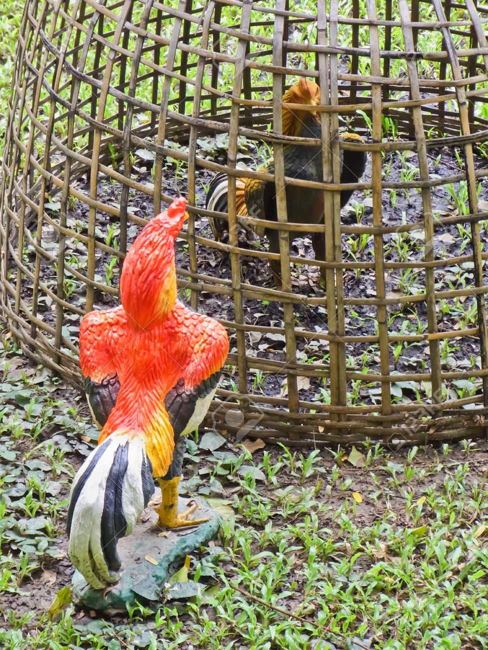Download premium images you can't get anywhere else. photos of cocks A dick pic itself is lazy
enough but if you can't even be bothered to get aroused prior to .