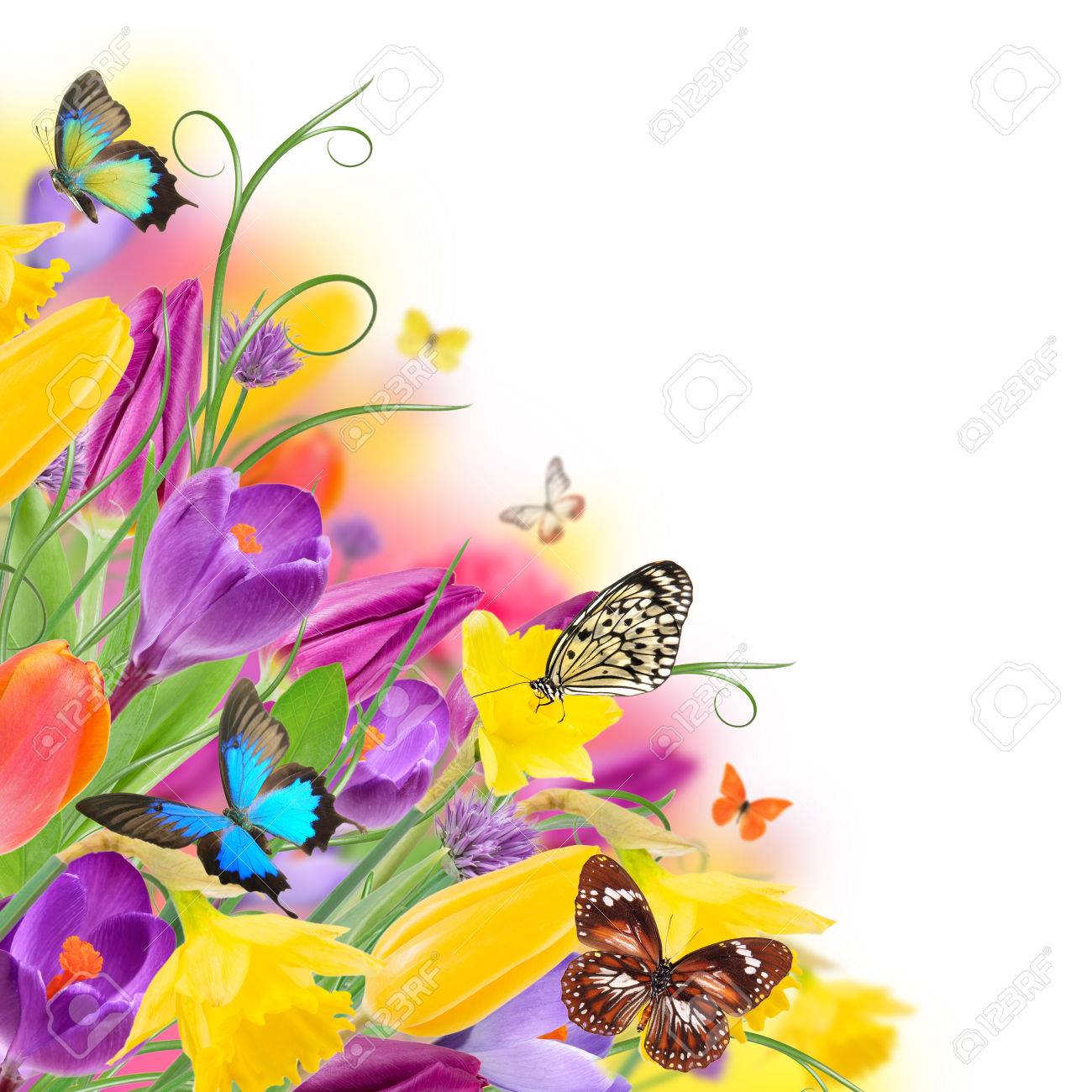 Kmv Kawasaki paisajes 2022 9 Hermoso Ramo De Flores De Colores Con Mariposas Exóticas Fotos, Retratos, Imágenes Y Fotografía De Archivo Libres De Derecho. Image 26054113.