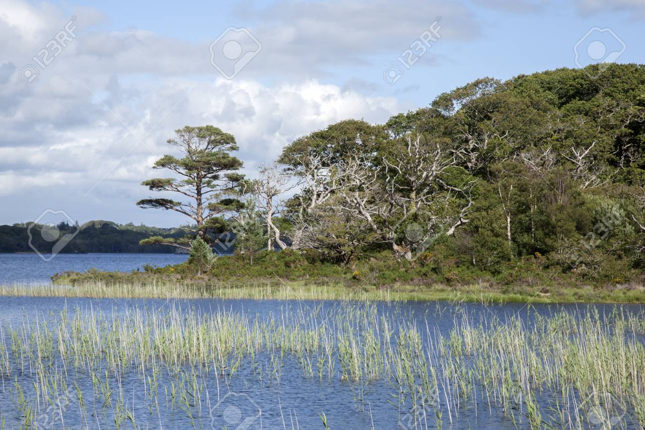 Lough Leane From Dinis Cottage Cafe Path Killarney National