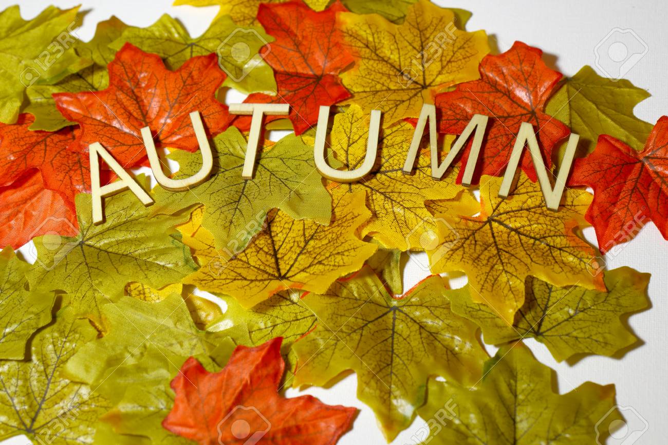 秋の紅葉と文字スペル秋のコンセプト の写真素材 画像素材 Image 秋の紅葉と文字スペル秋のコンセプト の写真素材 画像素材 Image