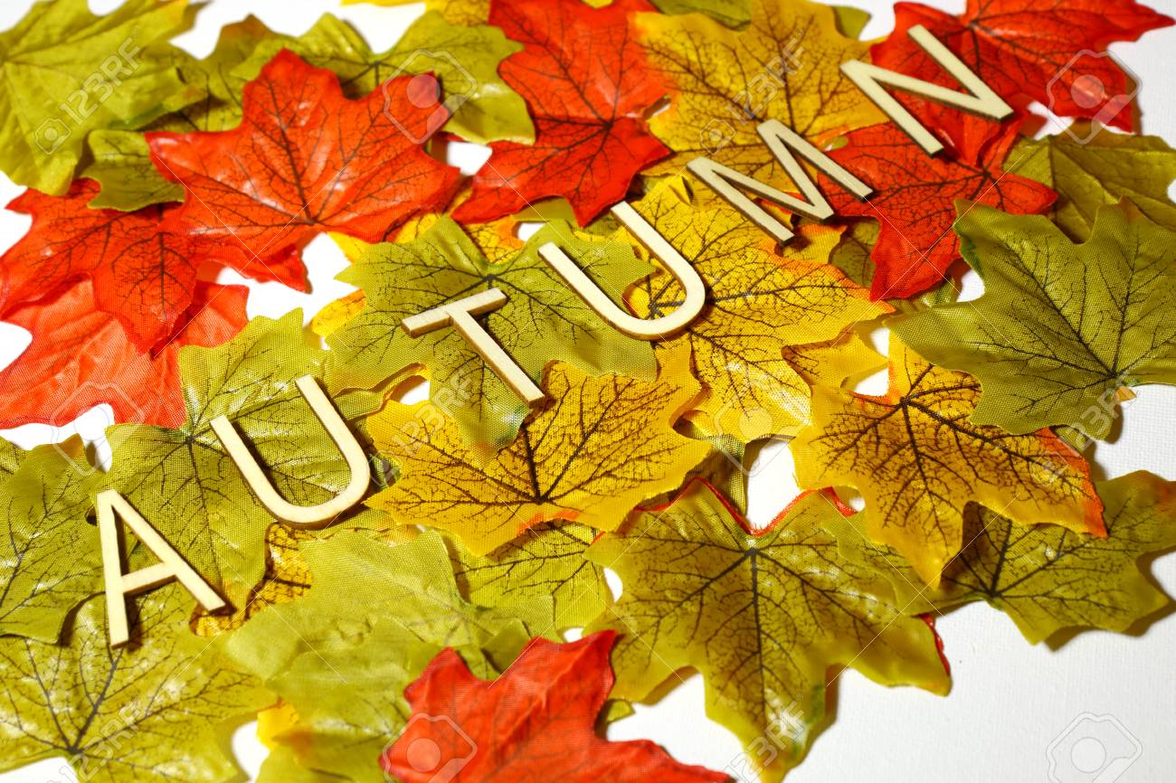秋の紅葉と文字スペル秋のコンセプト の写真素材 画像素材 Image 秋の紅葉と文字スペル秋のコンセプト の写真素材 画像素材 Image