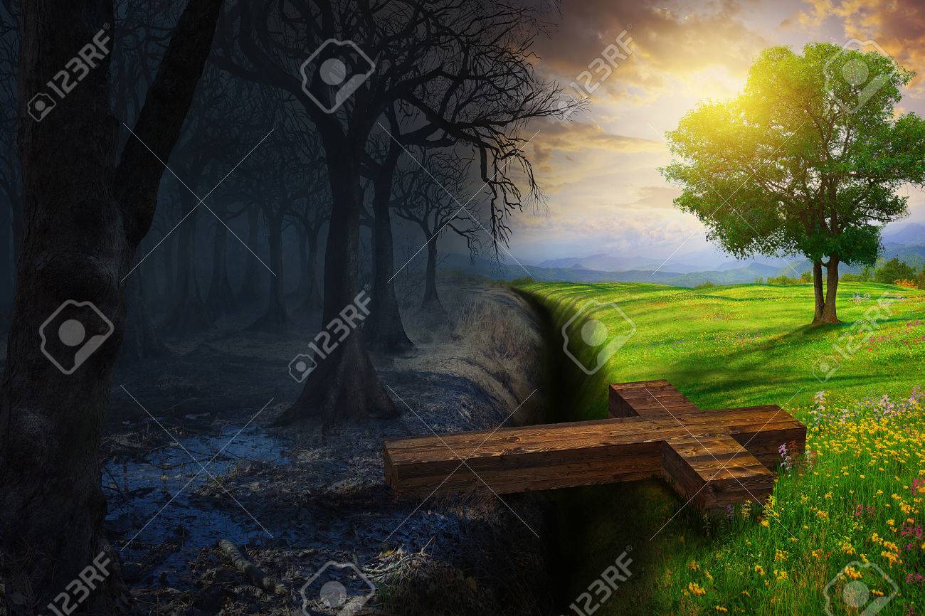A cross bridges the gap between a dead forest and a beautiful meadow. - 57162414 A cross bridges the gap between a dead forest and a beautiful meadow. - 57162414