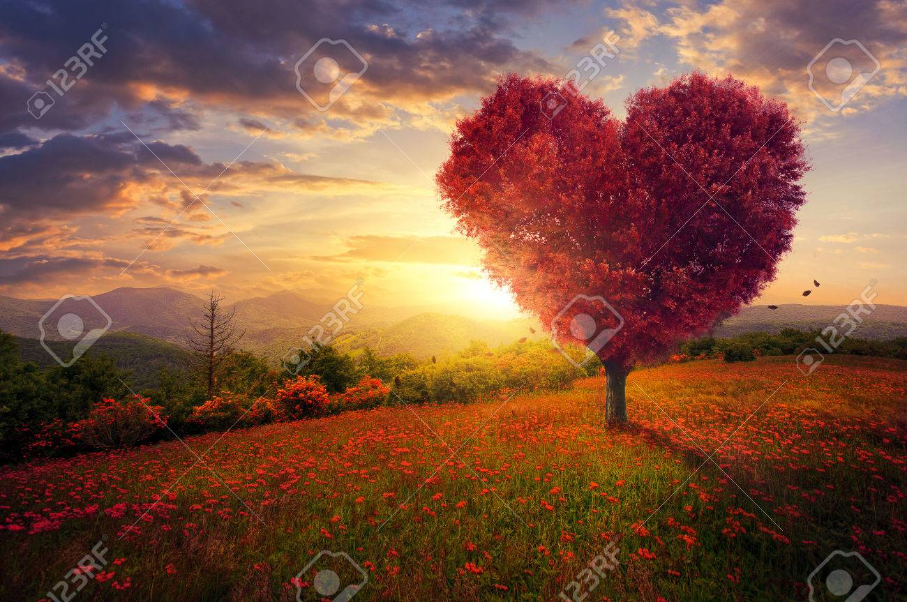 A red heart shaped tree at sunset. - 57203768 A red heart shaped tree at sunset. - 57203768