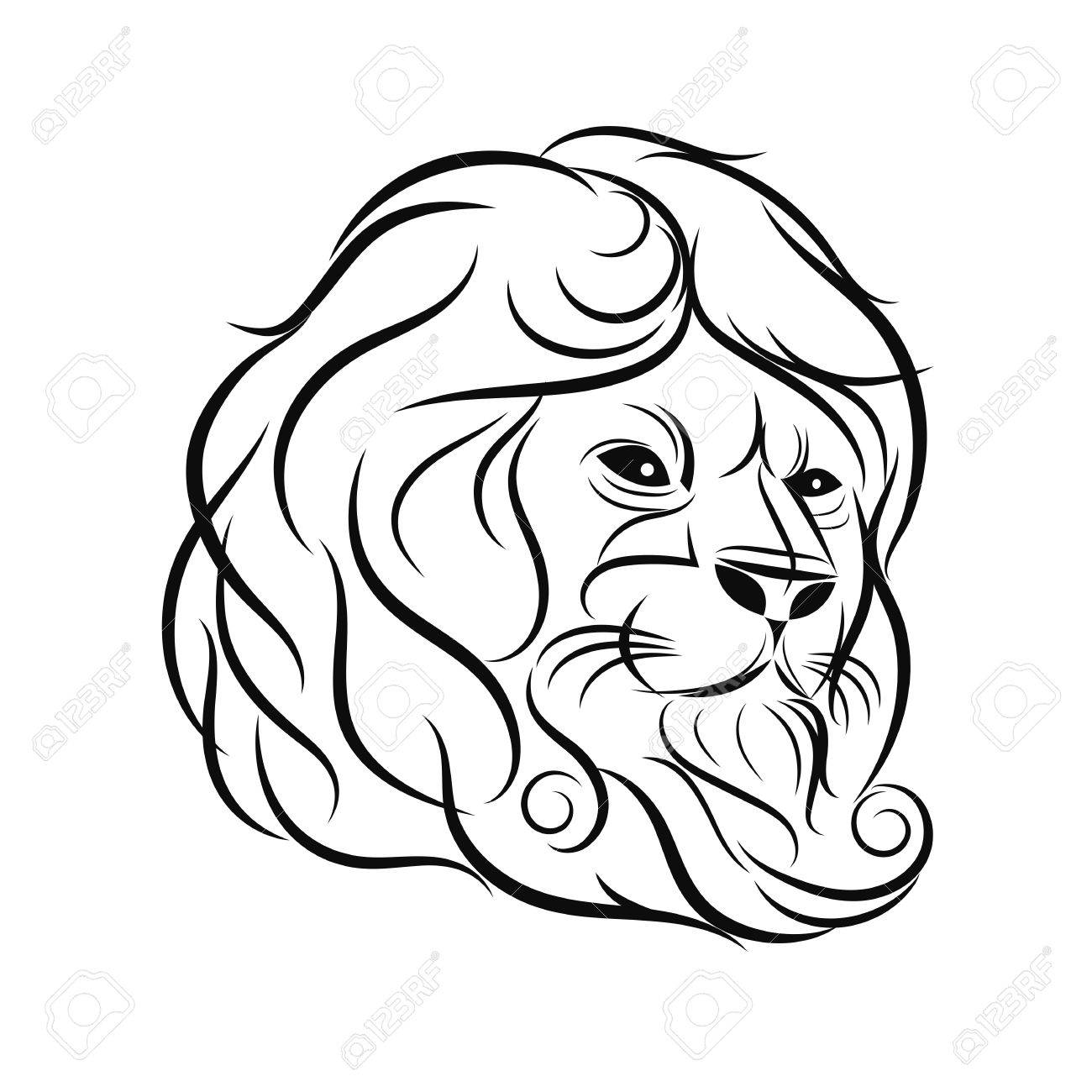 hand draw lion head outline design on gray background stock vector 64603914