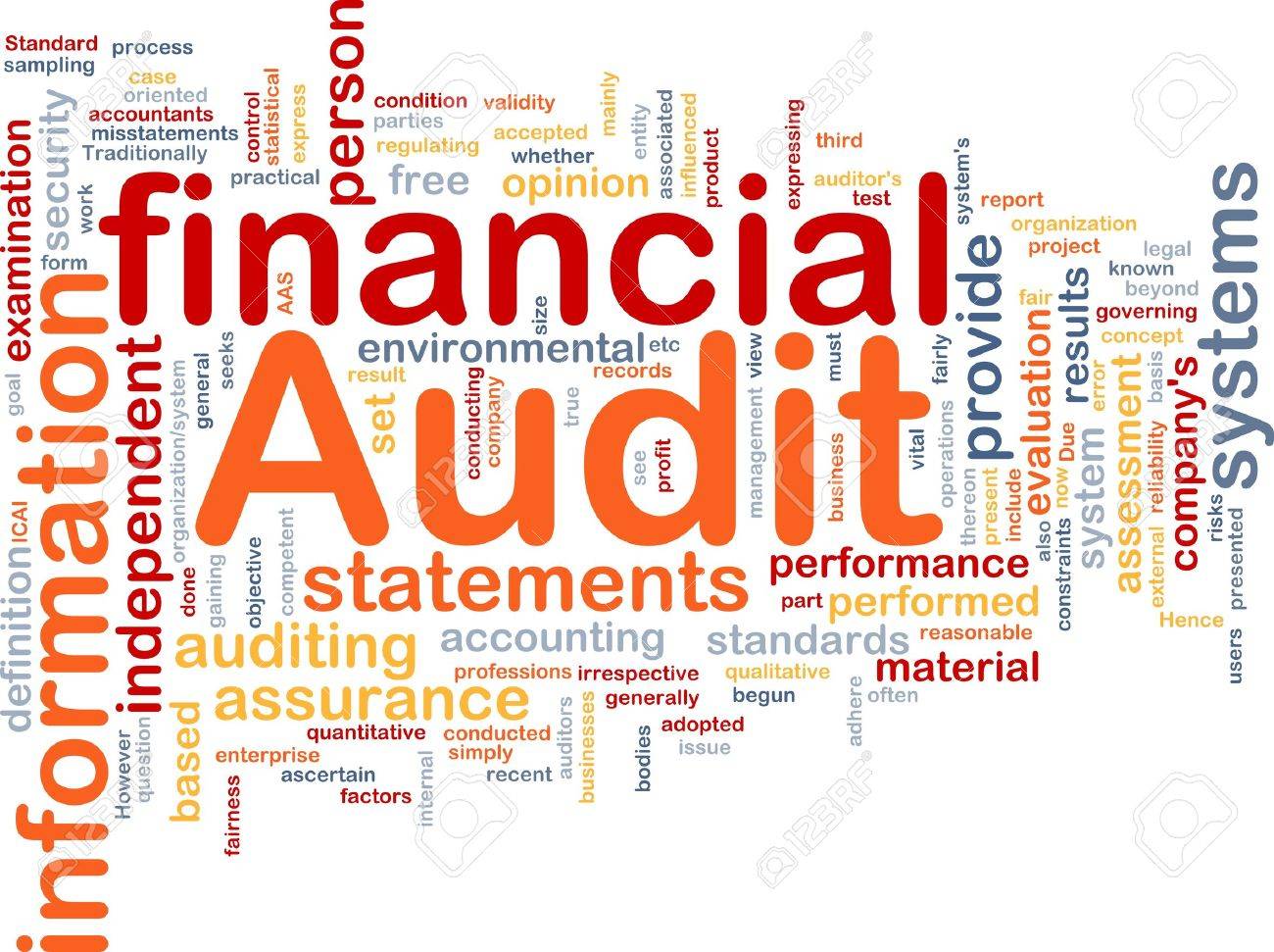 financial audit