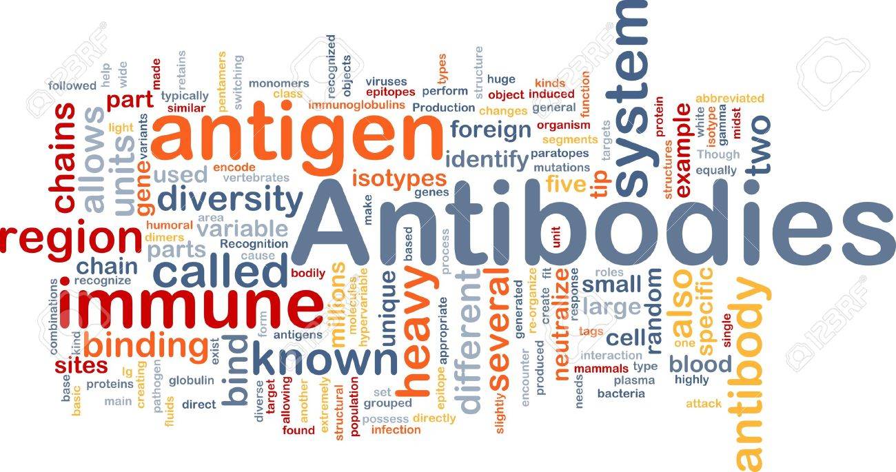 薬抗体免疫の背景概念 Wordcloud イラスト の写真素材 画像素材 Image