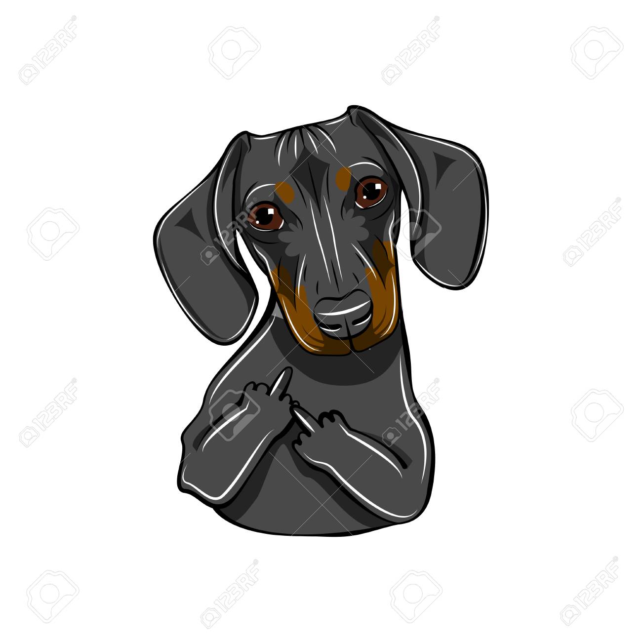 Download Dachshund Dog With Middle Finger Gesture Royalty Free Cliparts Vectors And Stock Illustration Image 99819704 PSD Mockup Templates
