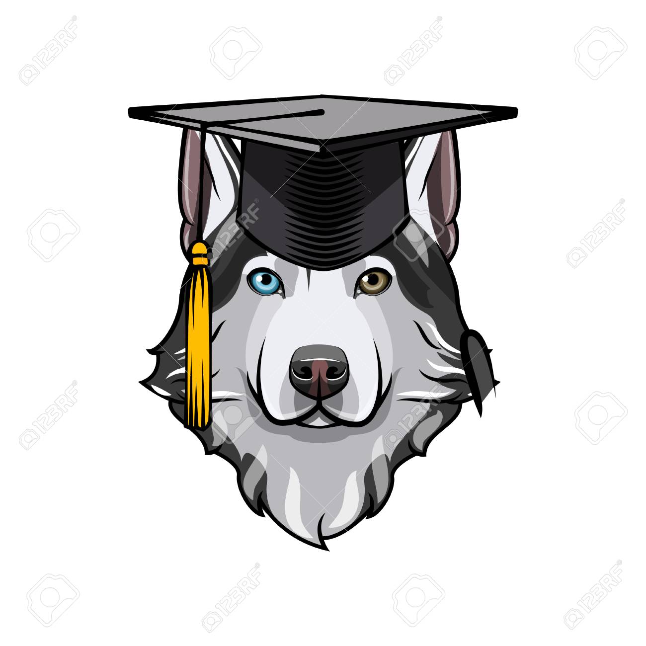 husky cap