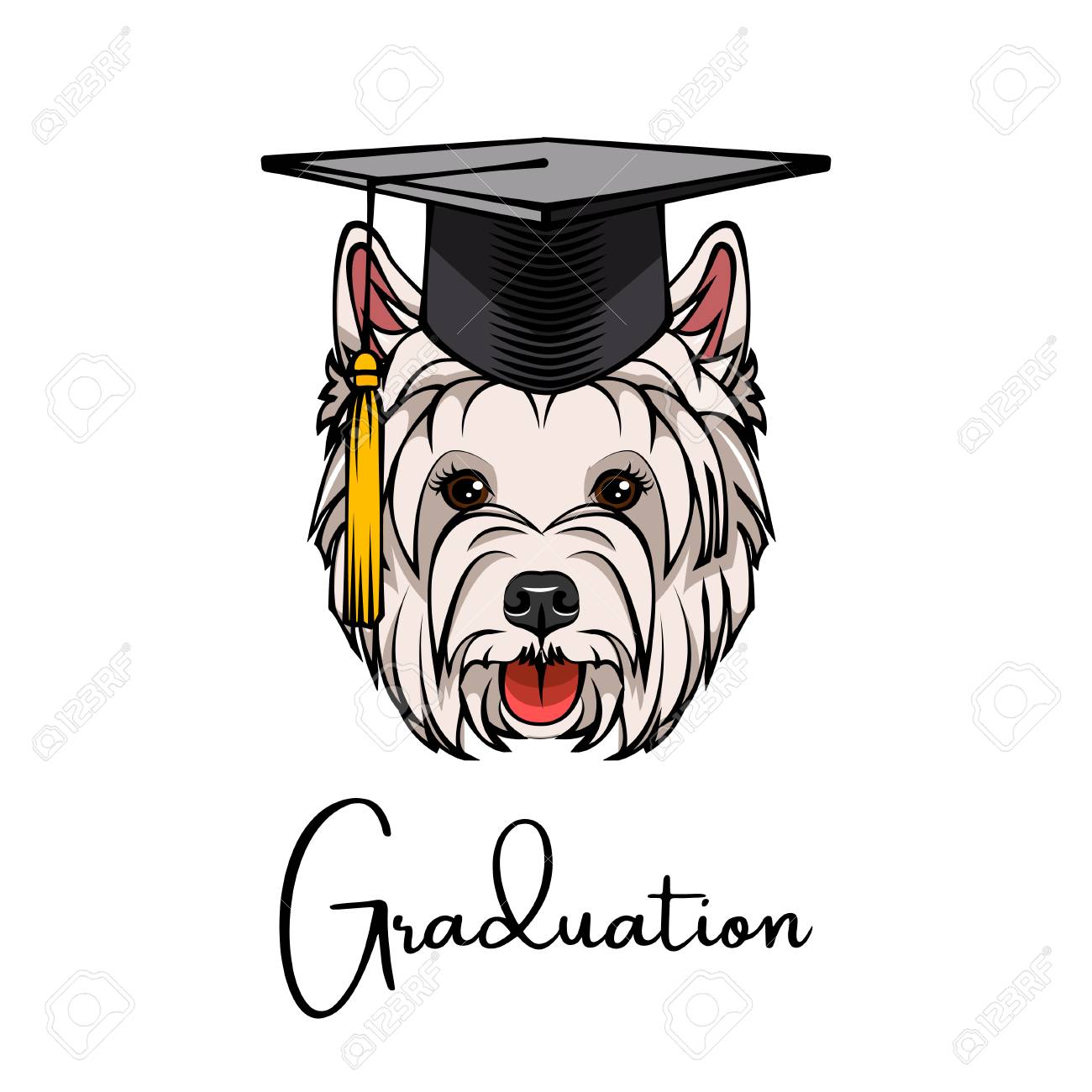 graduation cap dog