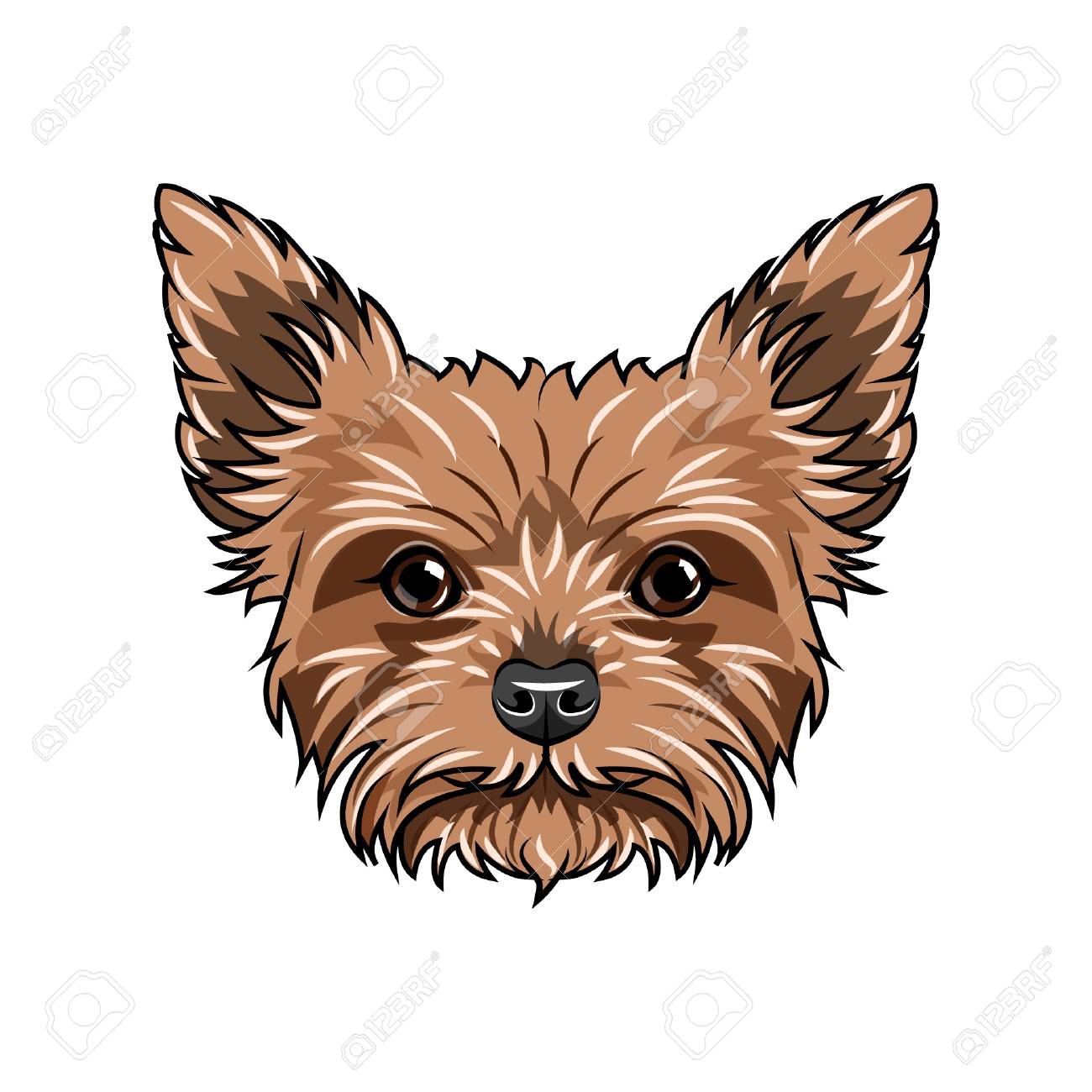 dog muzzle for yorkie