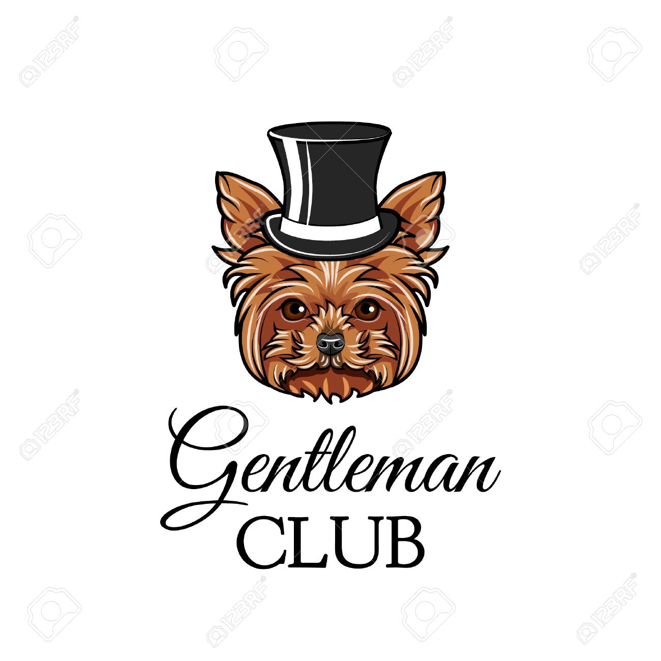 Top hat yorkies Clearance