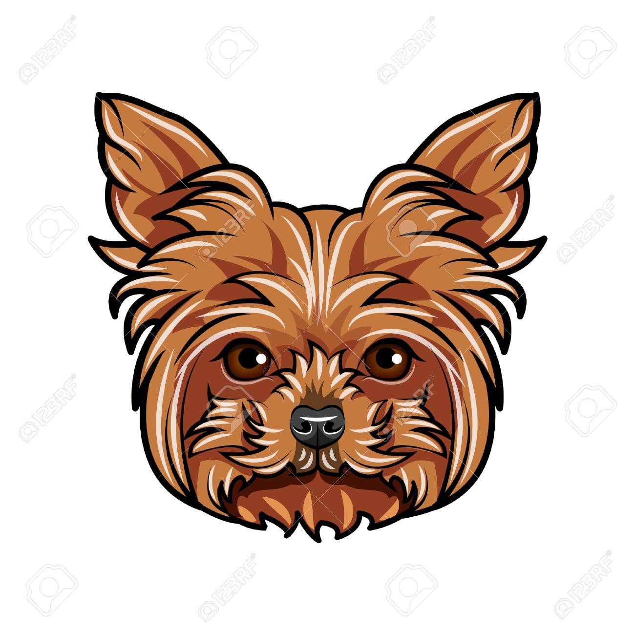 yorkie muzzle