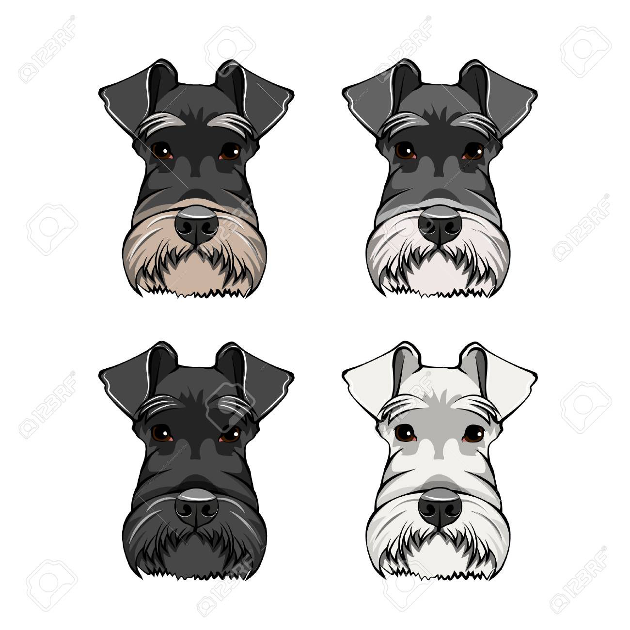 muzzle for miniature schnauzer