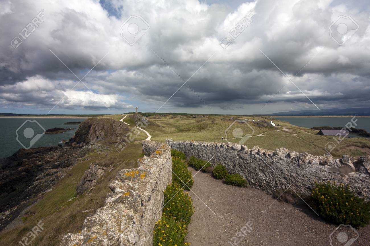 etiam-dictum-ipsum-a-felis