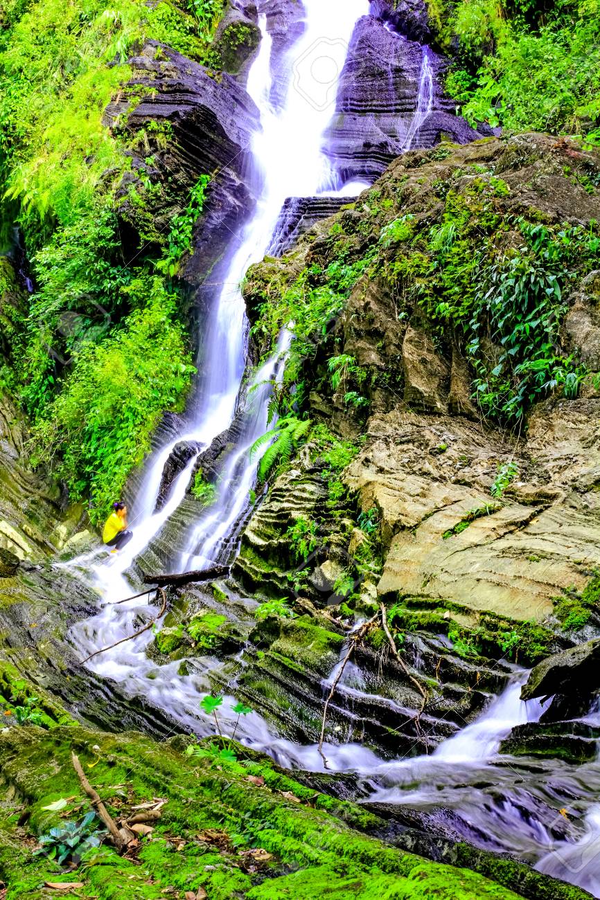 etiam-dictum-ipsum-a-felis