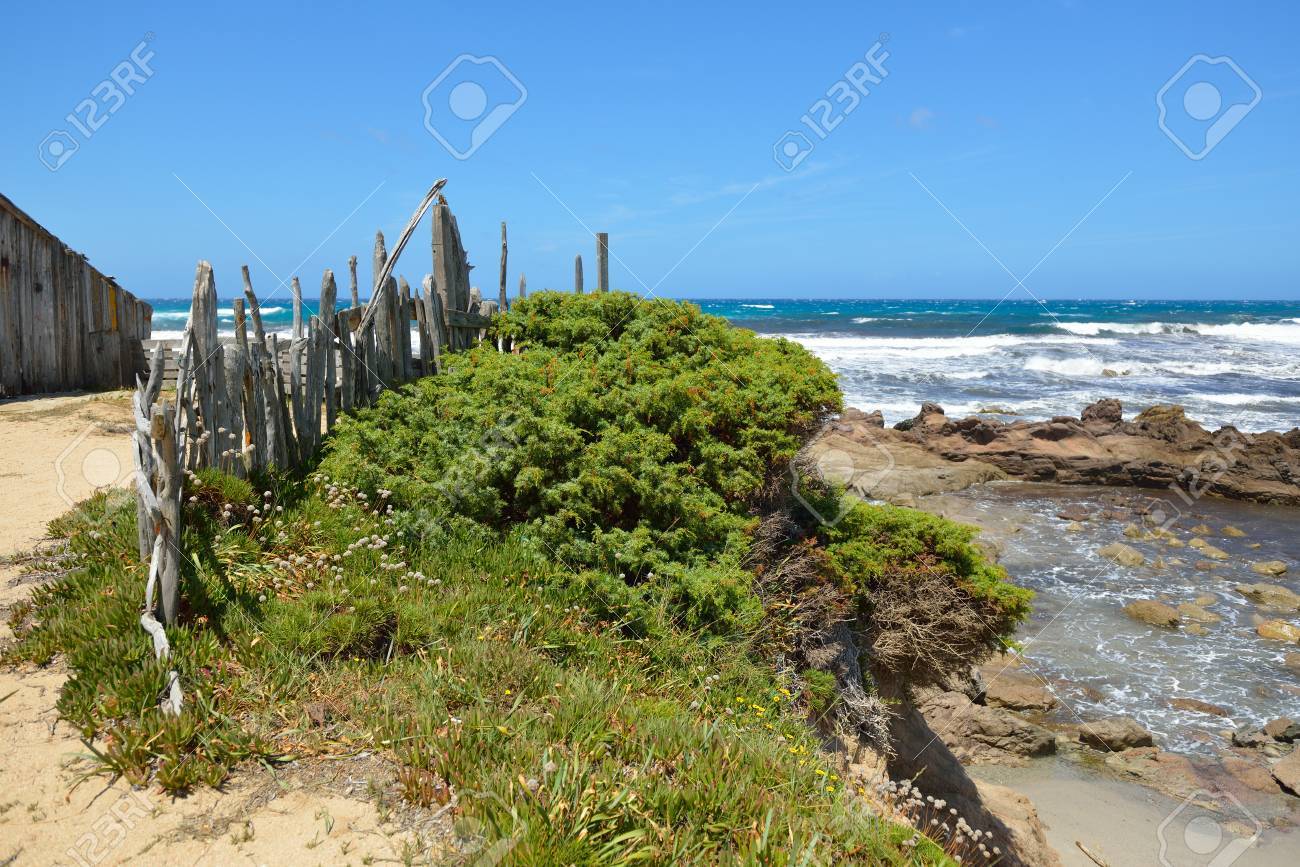 ビーチ 地中海 サルデーニャ 西海岸 イタリアの美しい景色 旅行 休暇 の写真素材 画像素材 Image