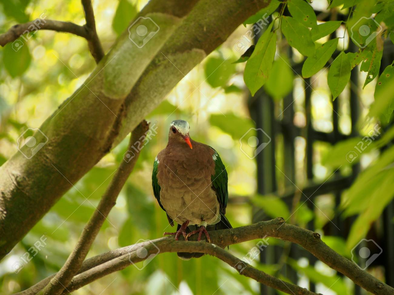 etiam-dictum-ipsum-a-felis