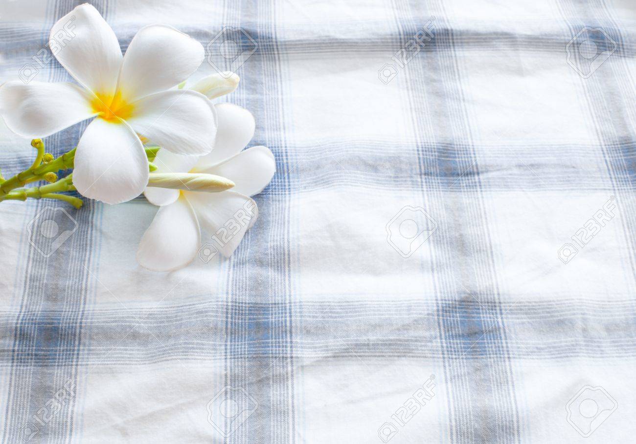 frangipani clothes