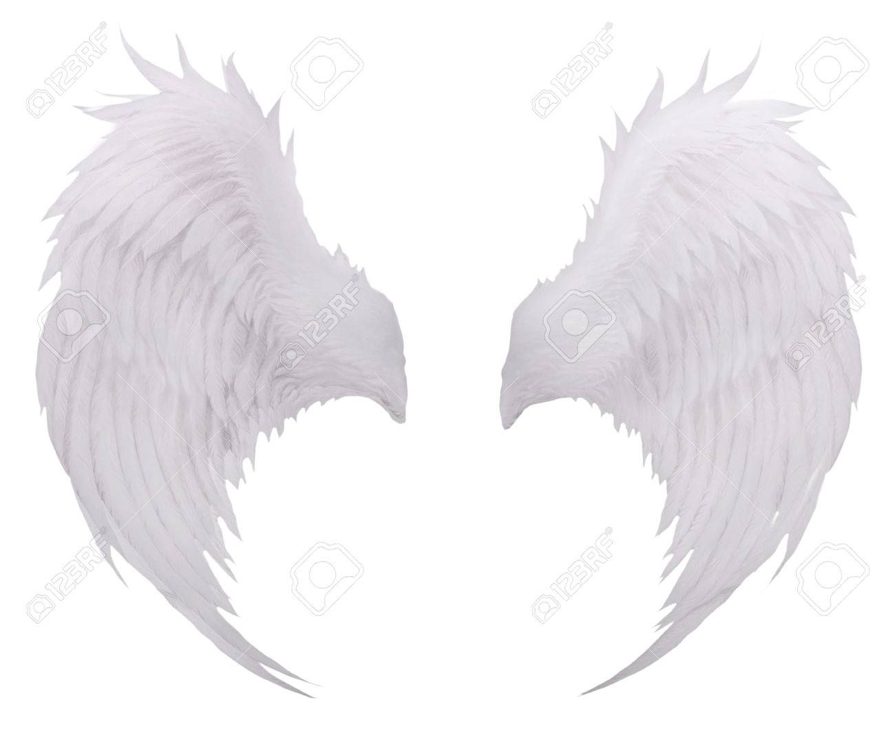 白い鳥の翼の羽根羽孤立ホワイト バック グラウンド ファンタジー装飾用 の写真素材 画像素材 Image