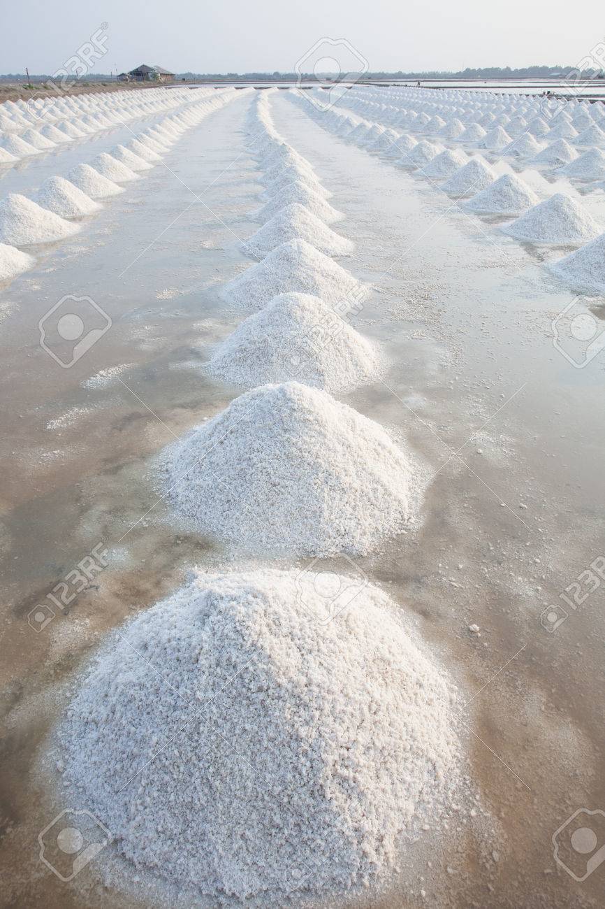 Vertical Form Of Heap Of Sea Salt In Original Salt Produce Farm Make From Natural Ocean Salty Water Preparing For Last Process Before Sent It To Industry Consumer Stock Photo, Picture And
