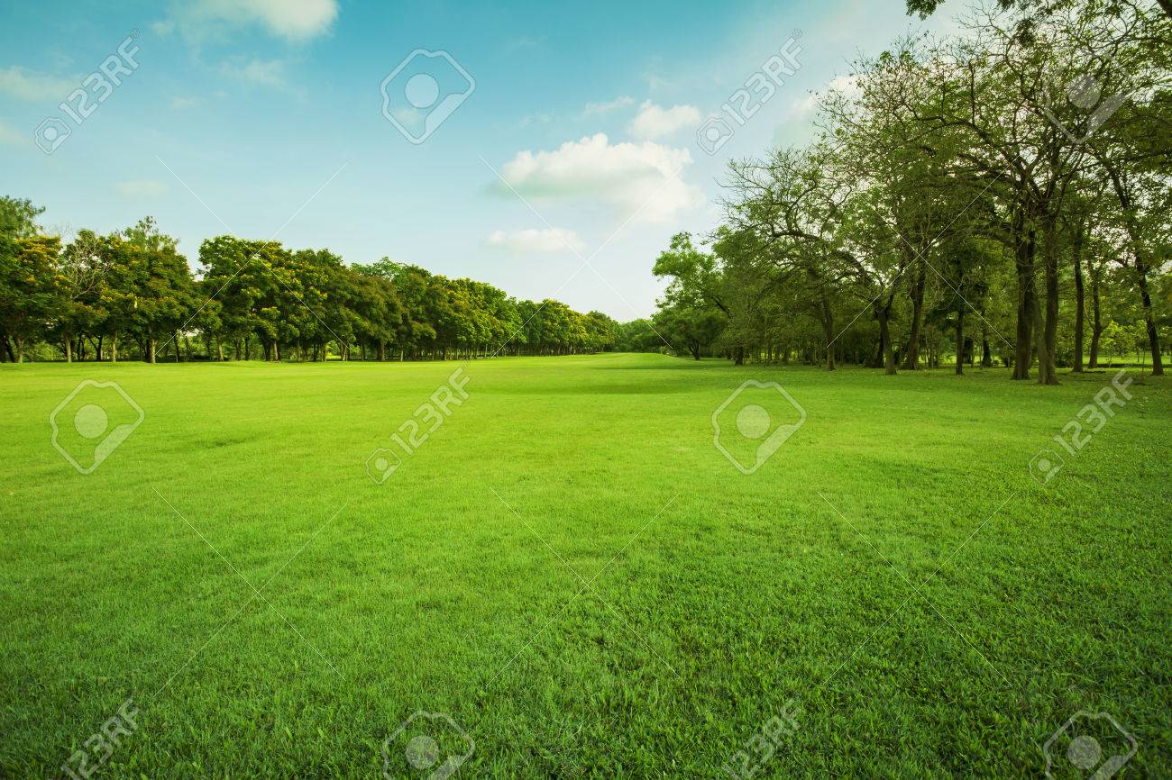 landscape of grass field and green environment public park use as natural background,backdrop - 69103599 landscape of grass field and green environment public park use as natural background,backdrop - 69103599