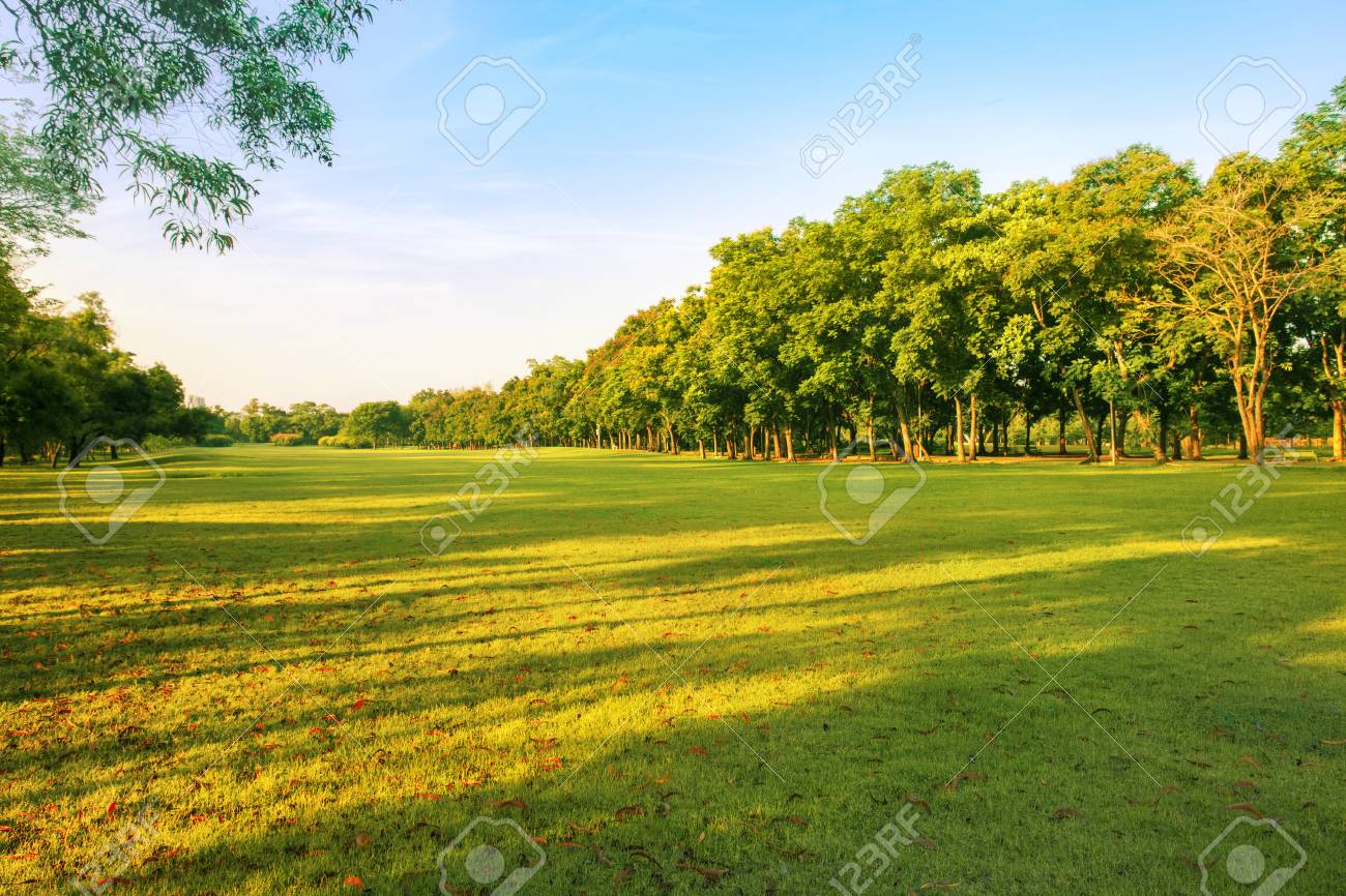 Landscape Of Grass Field And Green Environment Public Park Use As Natural Background Backdrop Stock Photo Picture And Royalty Free Image Image 68047685
